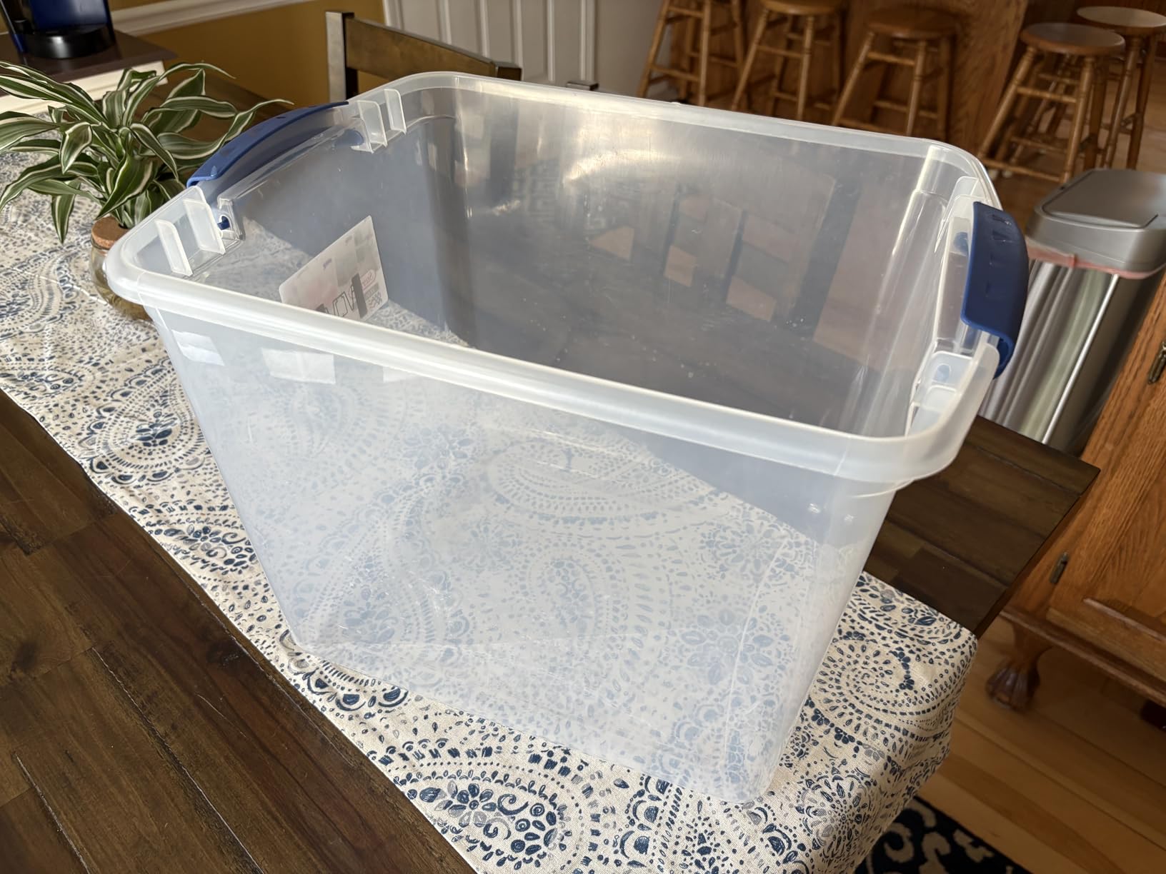 Maelstrom Soft Cooler Bag, 35/55/75 Can Beach Cooler with Flip-top Access customer photo 2