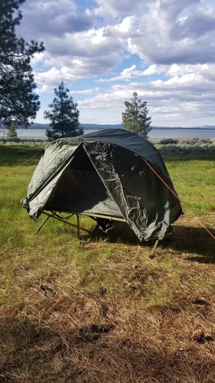 Tangkula 4-in-1 Camping Cot Tent Set, Foldable Off Ground Elevated Tent for 1 Person, Portable with Waterproof External Cover, Air Mattress & Carrying Bag, Ideal for Outdoor Hiking, Camping customer photo 1