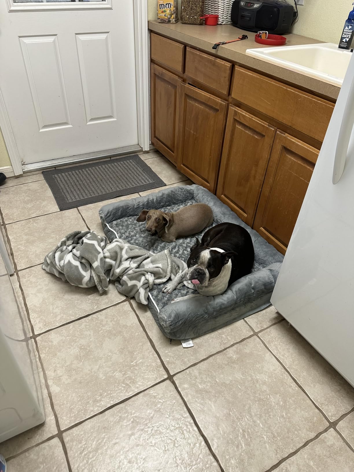 BFPETHOME Orthopedic Washable Large Dog Bed for Senior Dog Comfy Sleep customer photo 1