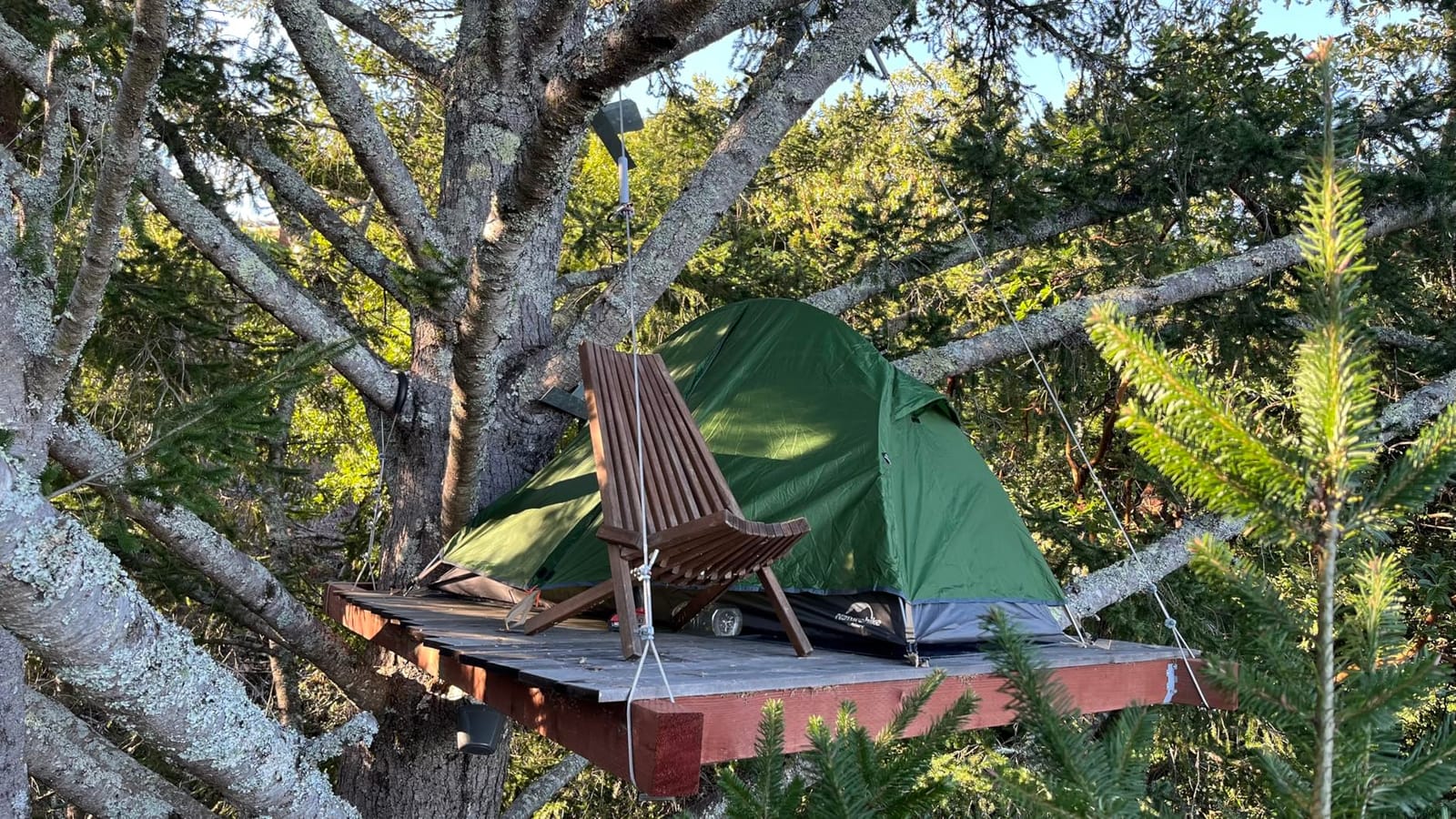 Naturehike Backpacking Tent for 1 Person Camping Hiking Lightweight Waterproof one Person Tent with Footprint customer photo 2