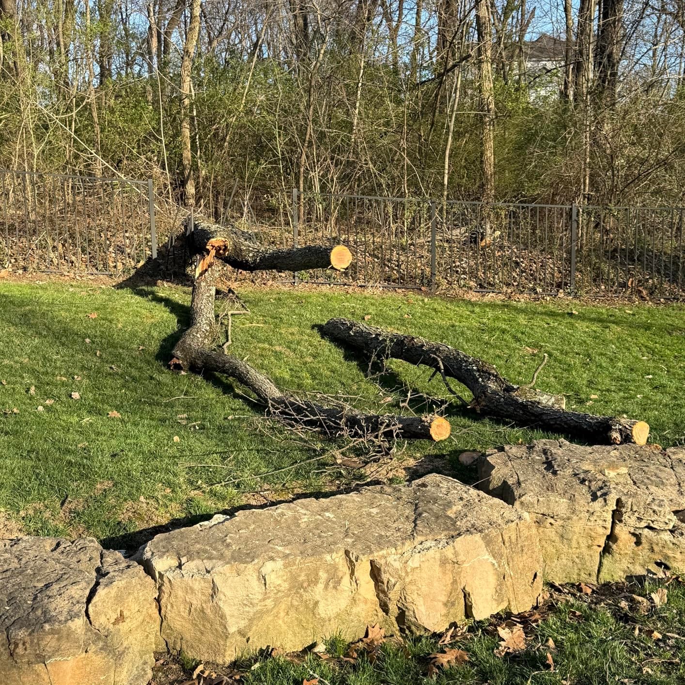 EGO POWER+ Chain Saw, 16” Battery Powered Chainsaw, Electric Cordless, Includes 56V 4.0Ah Battery and Charger – CS1613 customer photo 1