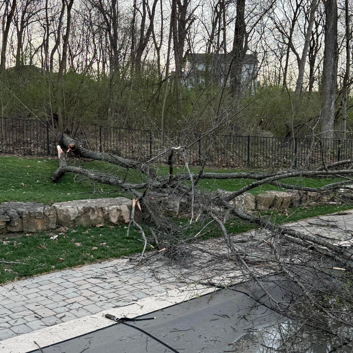 EGO POWER+ Chain Saw, 16” Battery Powered Chainsaw, Electric Cordless, Includes 56V 4.0Ah Battery and Charger – CS1613 customer photo 2