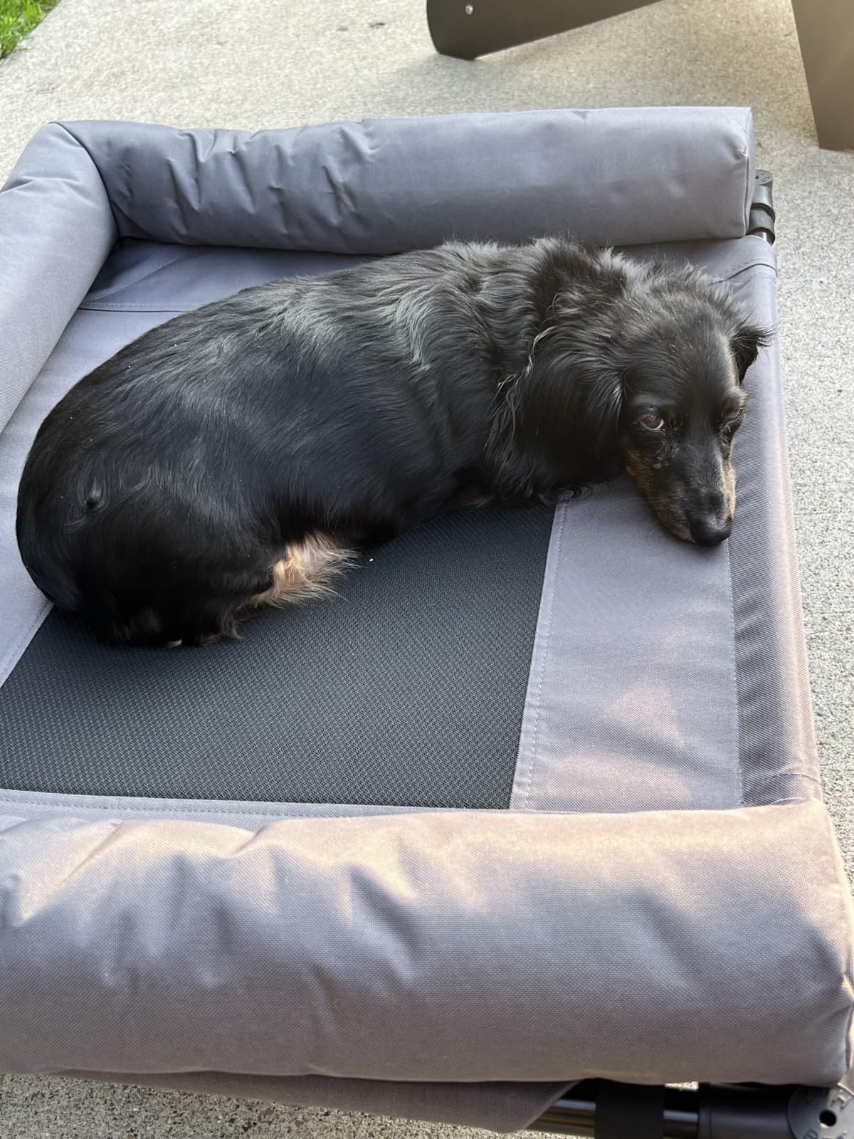 K&H Outdoor Elevated Dog Bed, Bolster Pet Cot, Medium 32x25in, Charcoal customer photo 1