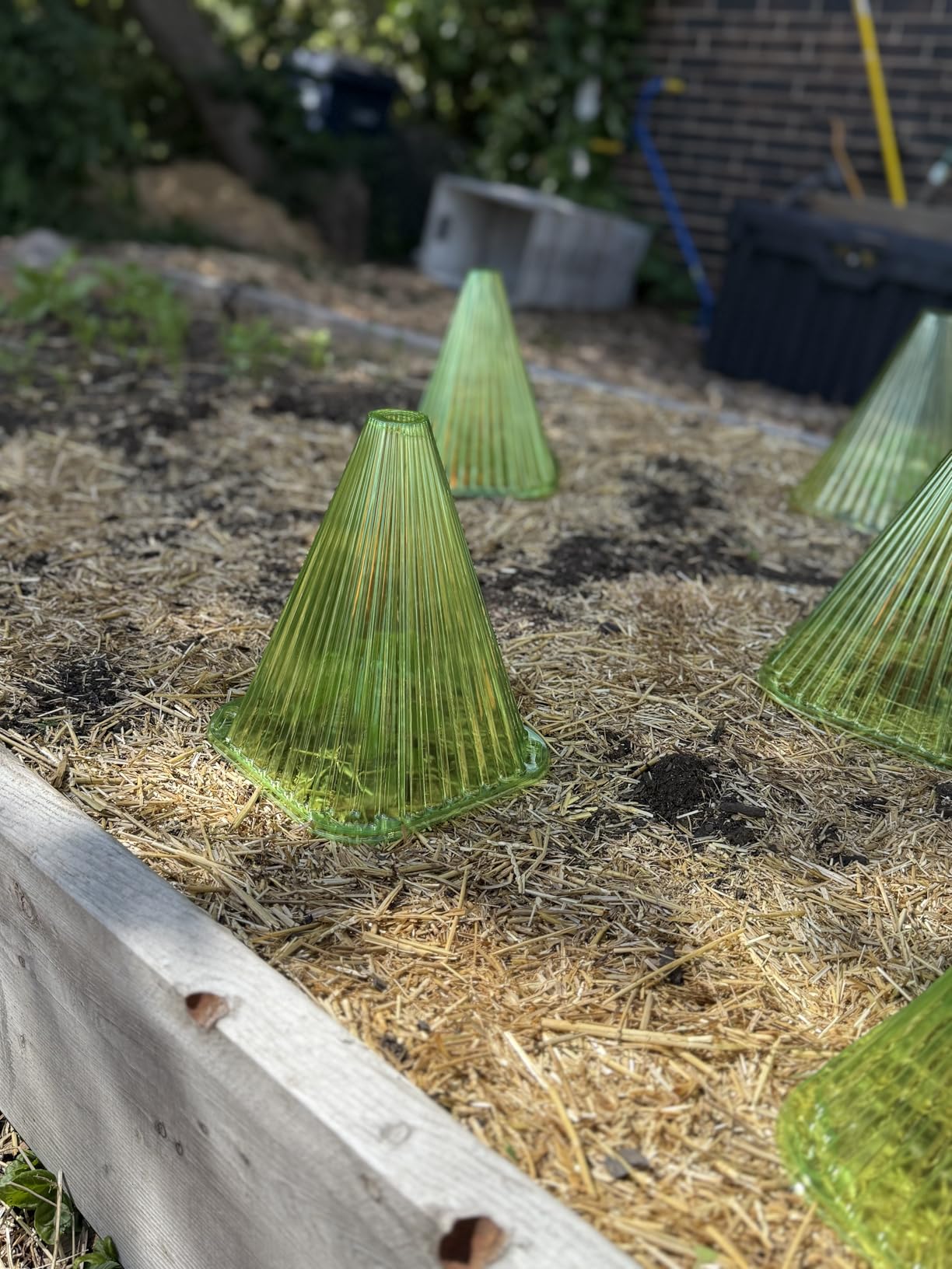 Fshow Garden Cloches,20 Pack Reusable Plant Bell Cover,Bell Jar Cloches for Protection Against Sun, Frost, Snails Etc. (Dark Green) customer photo 1