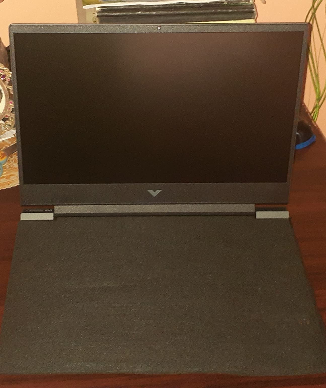 HP Victus 15 Laptop customer photo 2