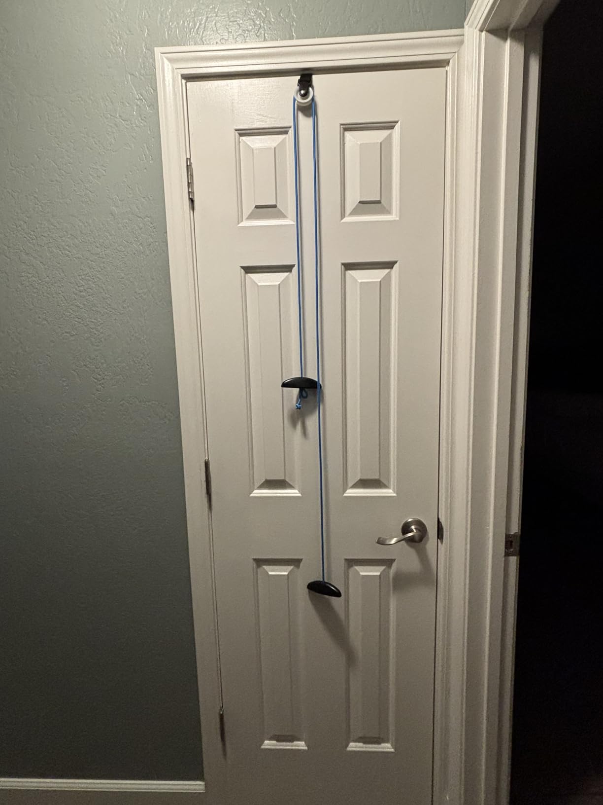 Shoulder Pulley Over The Door Physical Therapy System customer photo 2