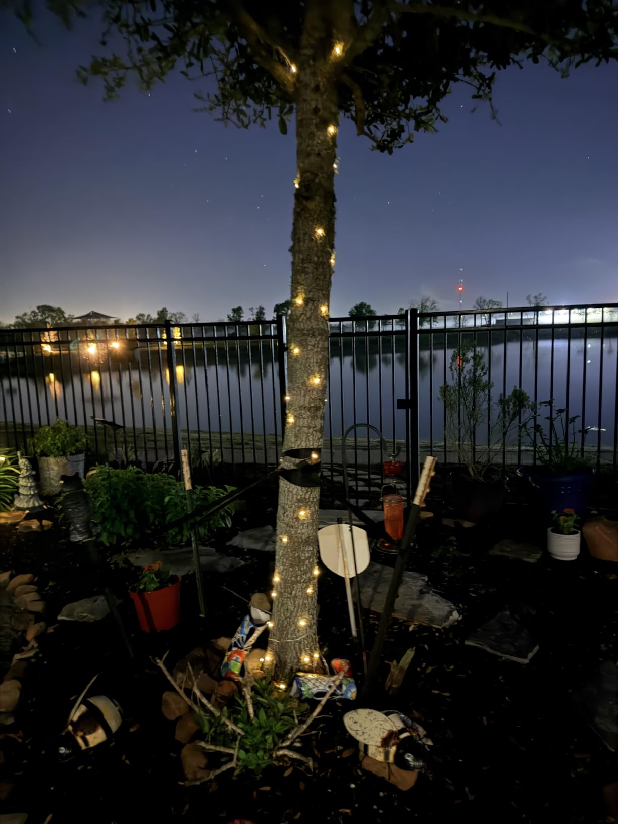 BHCLIGHT Solar String Lights Outdoor, 2 Pack 80 FT 200 LED Fairy Lights customer photo 1