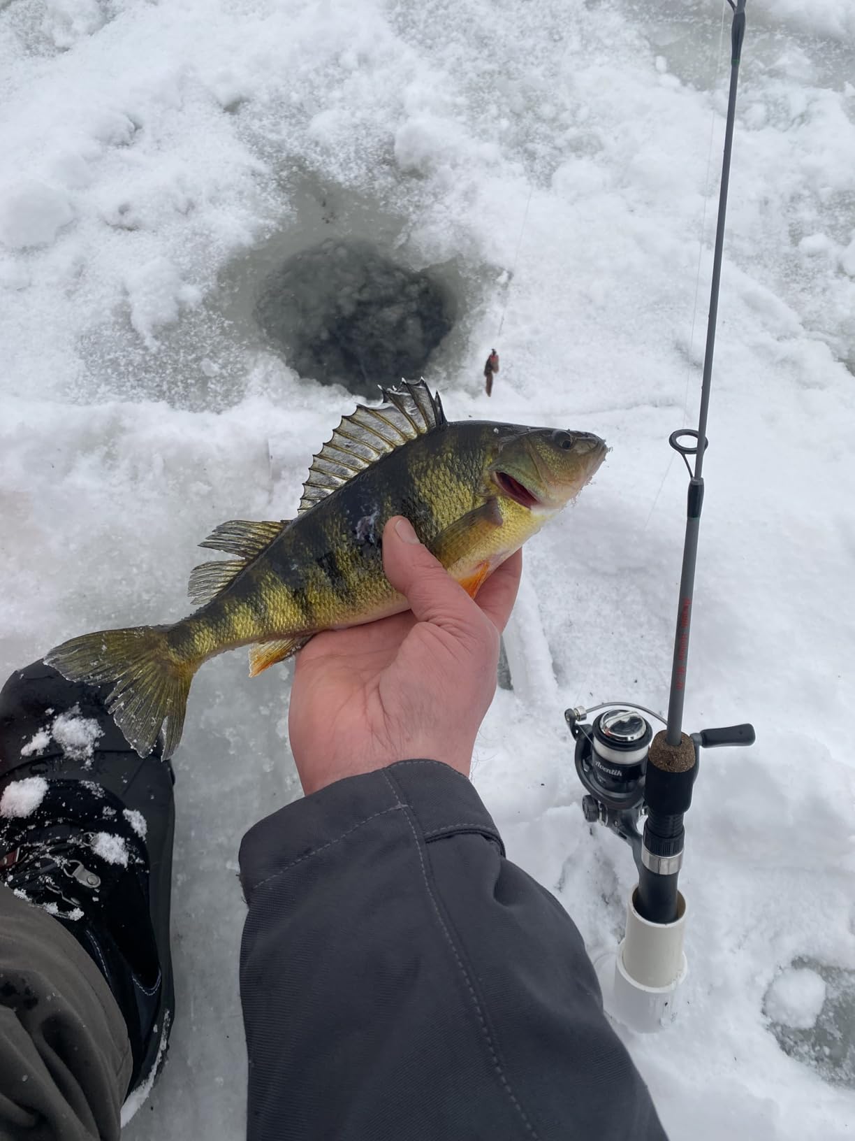Aventik Ultralight Ice Fishing Rod and Reel Combo 26/28/30/32 inch Medium Light Fast Action Multi-Species Ice Fishing Combos for Walleye Perch Panfish customer photo 2
