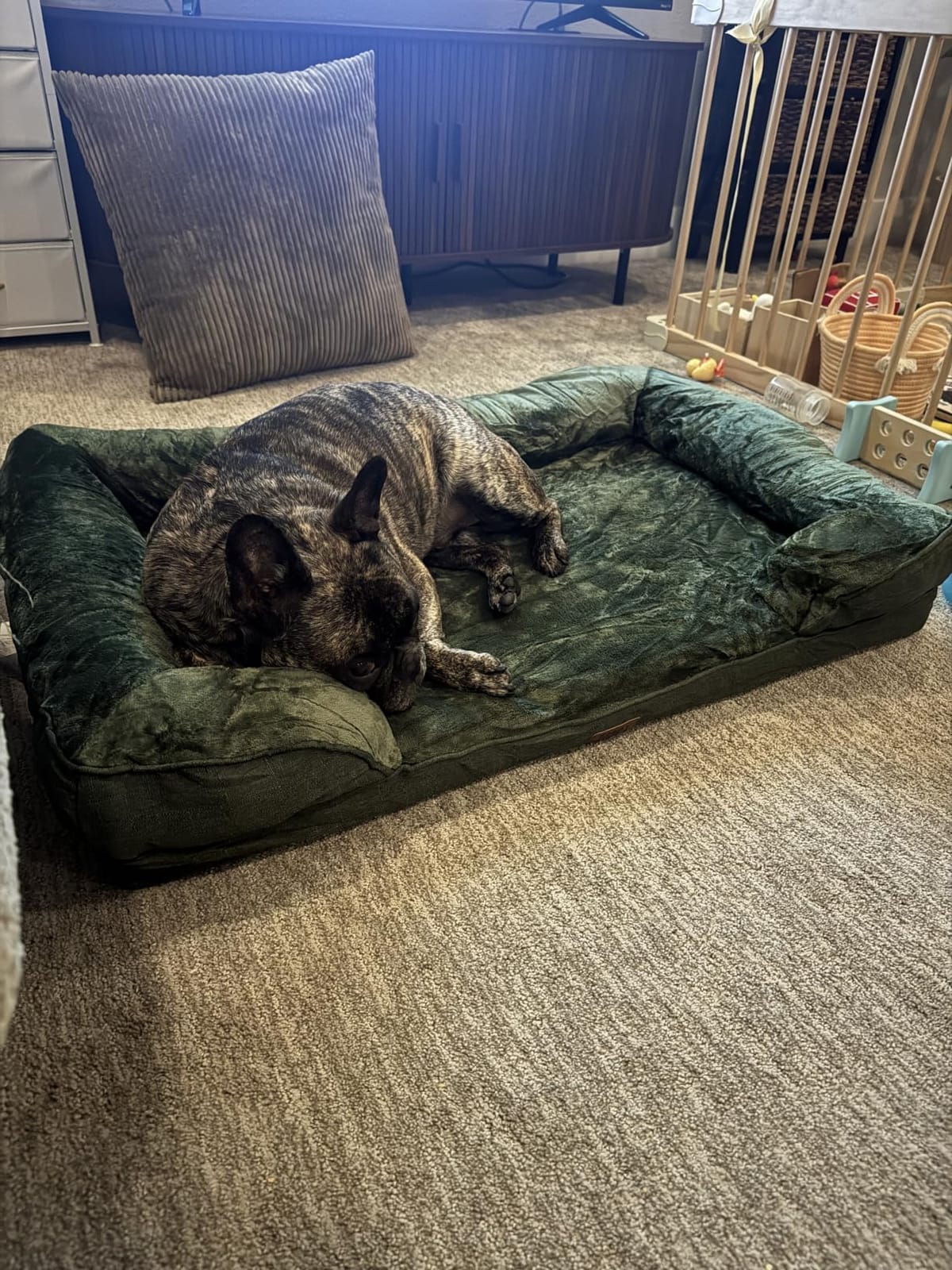 EHEYCIGA Orthopedic Dog Beds Large Sized Dog, Waterproof Memory Foam Pet Bed with Sides, Non-Slip Bottom Large Pet Bed with Washable Removable Cover, Grey customer photo 1