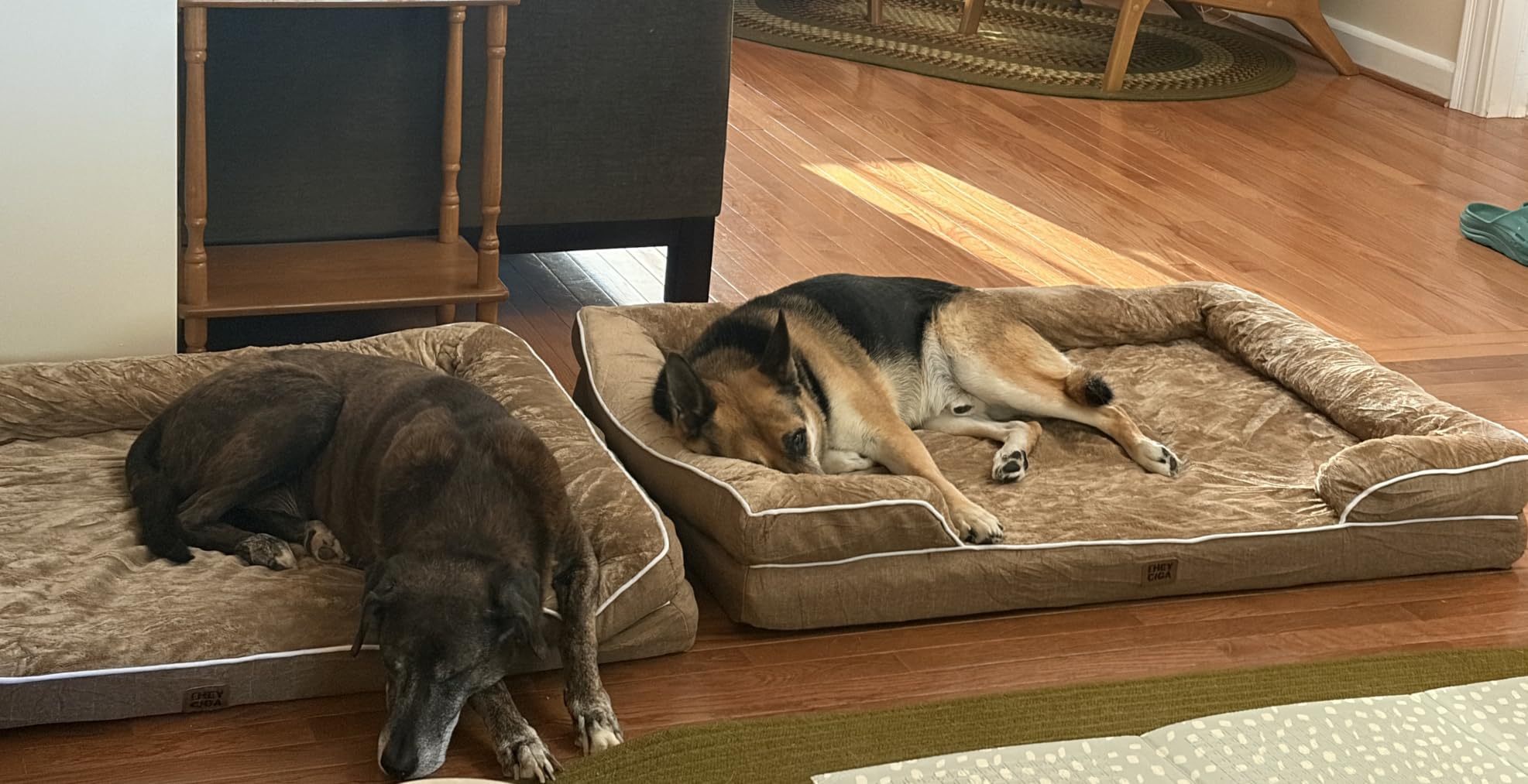 EHEYCIGA Orthopedic Dog Beds Large Sized Dog, Waterproof Memory Foam Pet Bed with Sides, Non-Slip Bottom Large Pet Bed with Washable Removable Cover, Grey customer photo 2