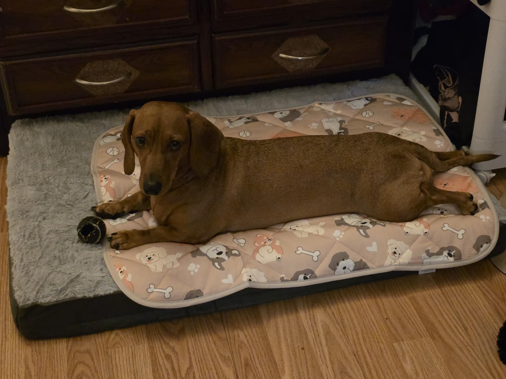 Sunheir Washable Orthopedic Large Dog Bed with Removable Cover, Pet Bed Mat customer photo 2