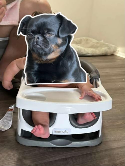 Ingenuity Baby Base 2-in-1 Booster Feeding and Floor Seat with Tray customer photo 2