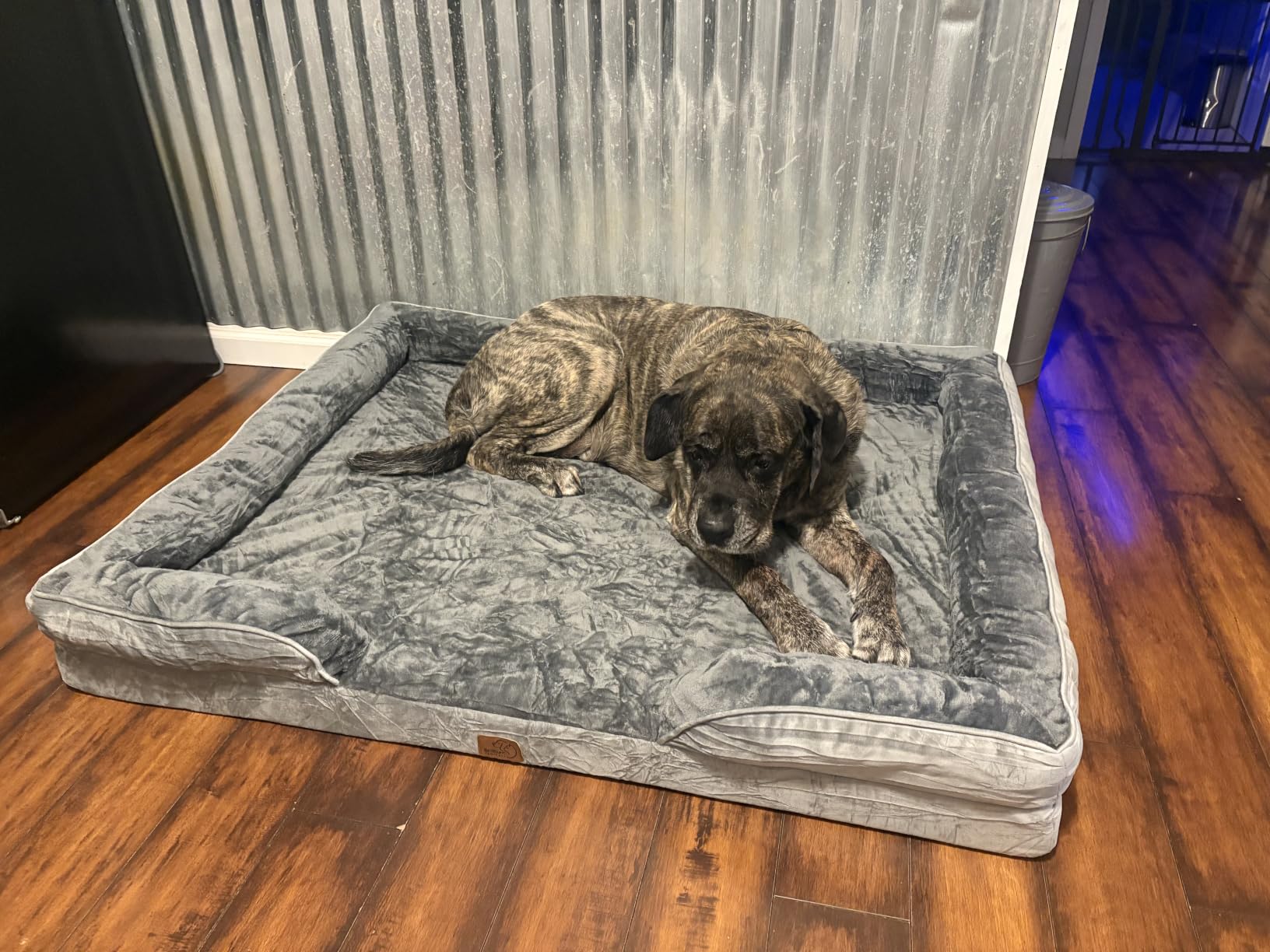 Bedsure Orthopedic Dog Beds Large Sized Dog Washable Original Design customer photo 1