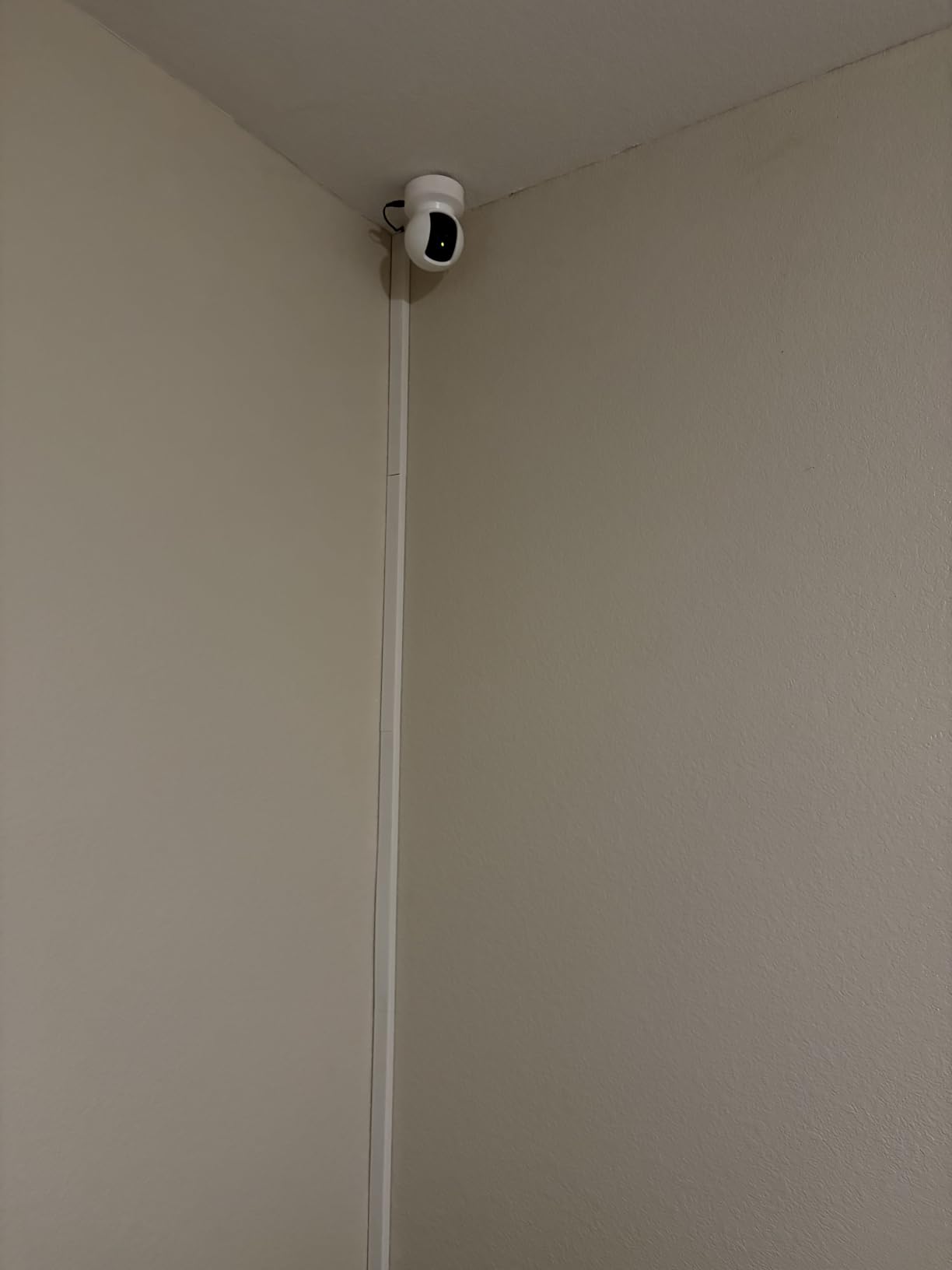 Kasa EC71 Pan/Tilt Cam customer photo 1