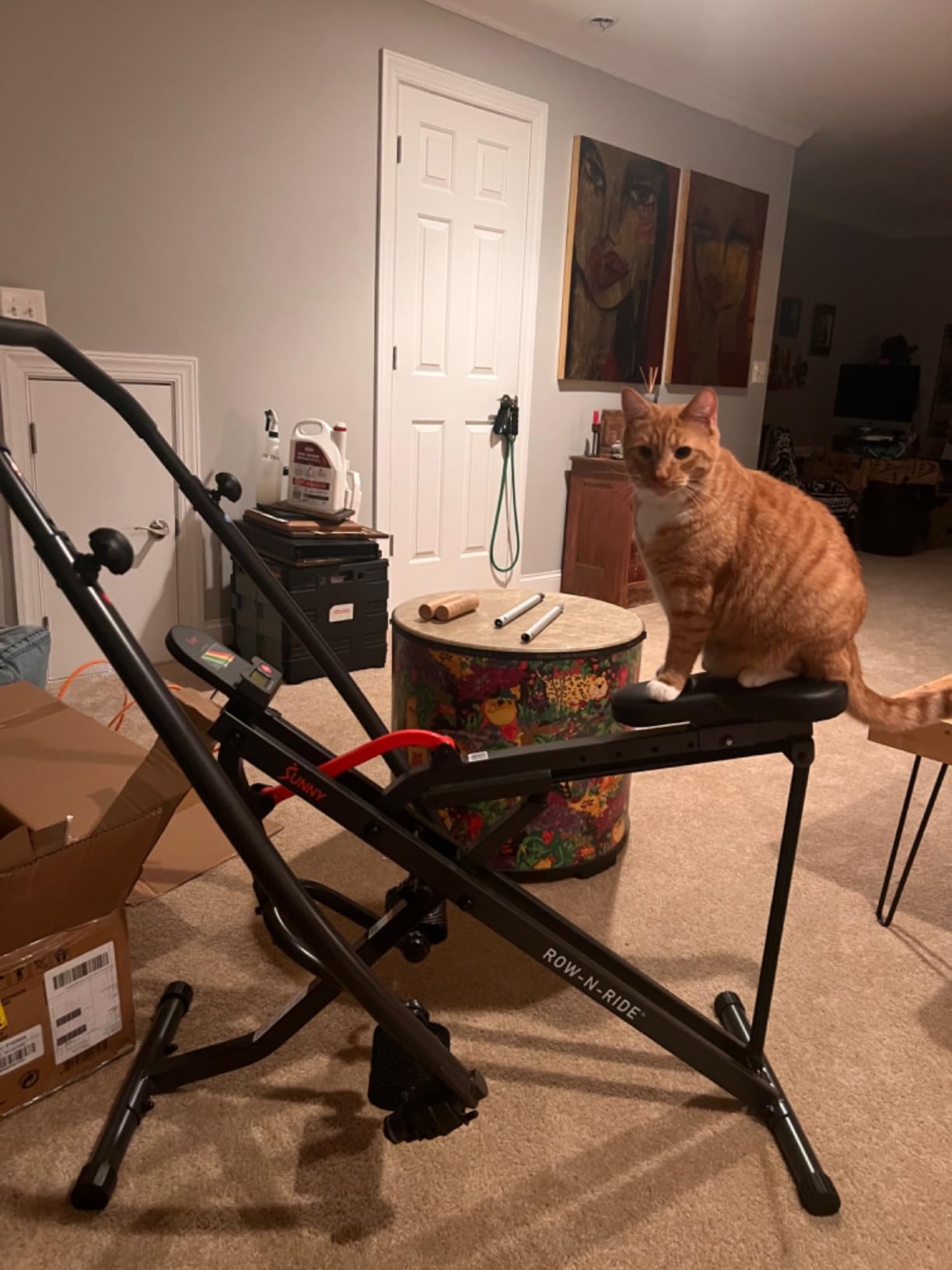 Sunny Health & Fitness Row-N-Ride Squat Assist Trainer for Home Exercise customer photo 1