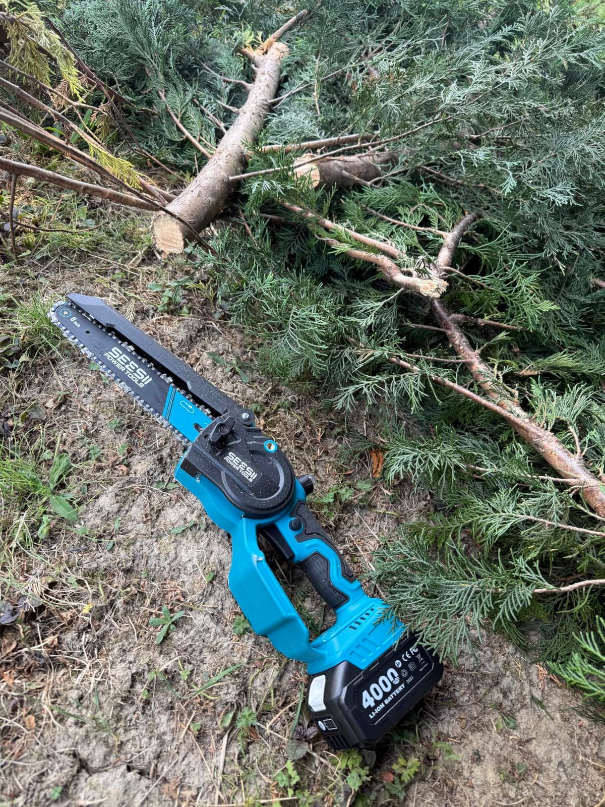 SEESII 2-in-1 Cordless 8 Inch Pole Saw & Mini Chainsaw, 2×4.0Ah Batteries customer photo 2
