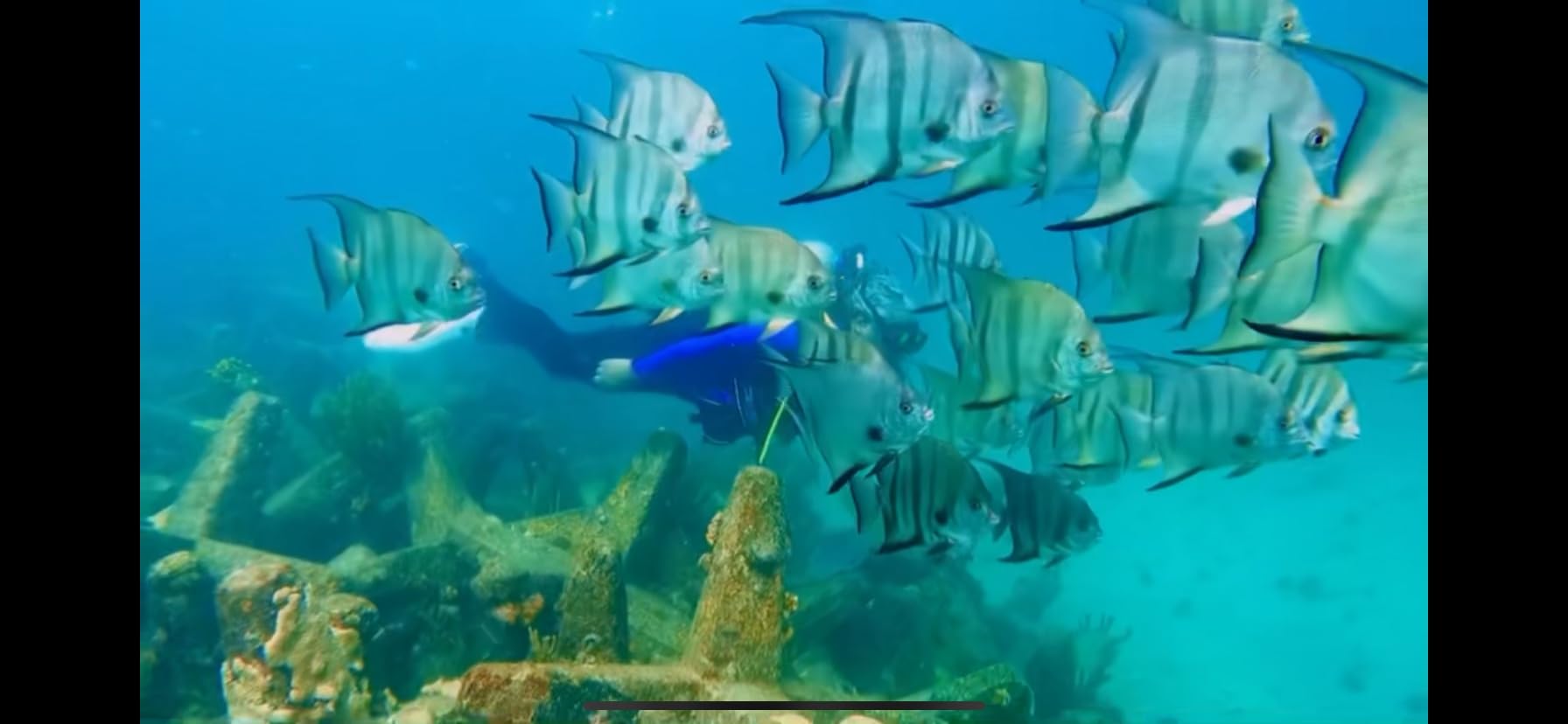 SCUBAPRO GO Travel Scuba Diving Fin for Snorkeling and Swimming, Open Heel Strap customer photo 2