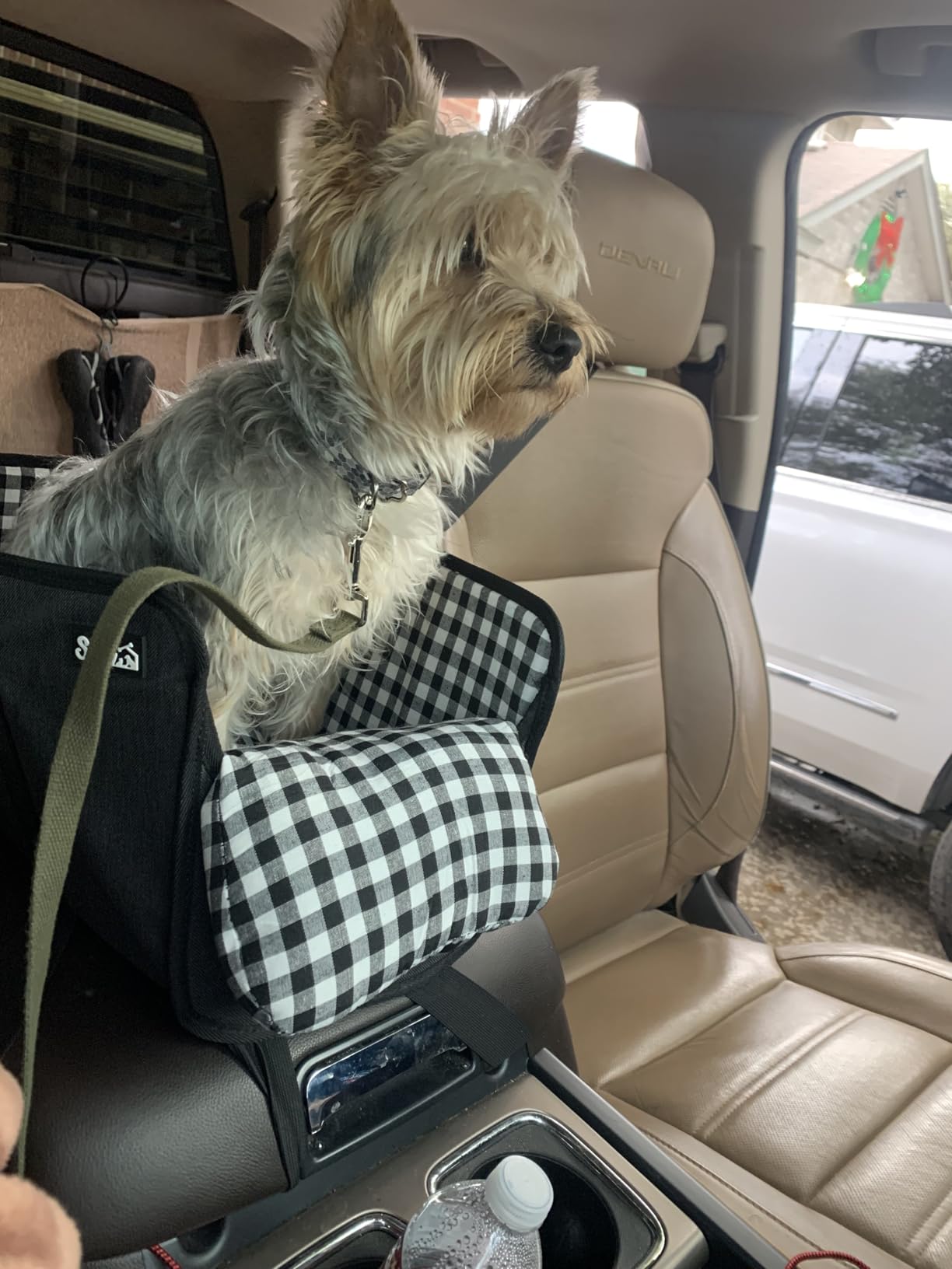 SlowTon Console Dog Car Seat, Dog Booster Seat for Small Dogs Under 11lbs customer photo 2