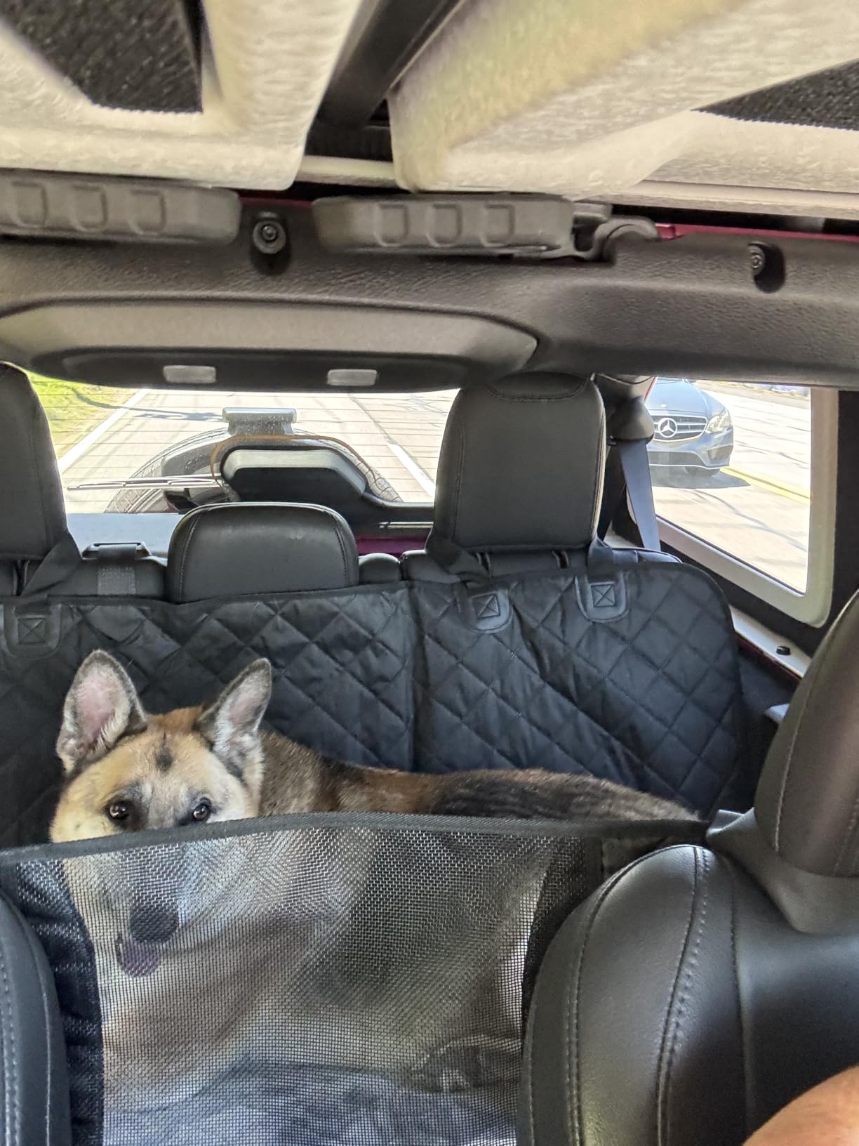 URPOWER Dog Back Seat Extender for Full-Size Crew Cab Trucks, Hard Bottom customer photo 1
