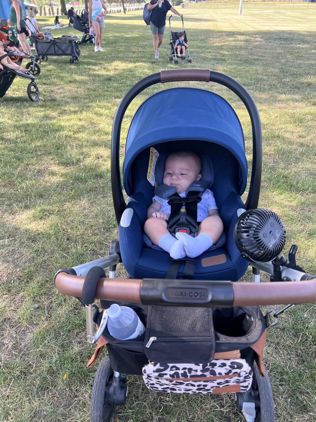 Maxi-Cosi Zelia 2 Luxe 5-in-1 Modular Travel System, New Hope Tan customer photo 1