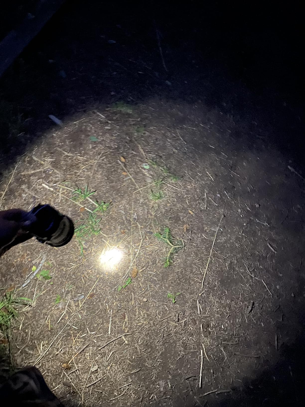 DIBMS 4-Pack Solar Camping Lantern, Collapsible Flashlight Emergency Lights customer photo 2