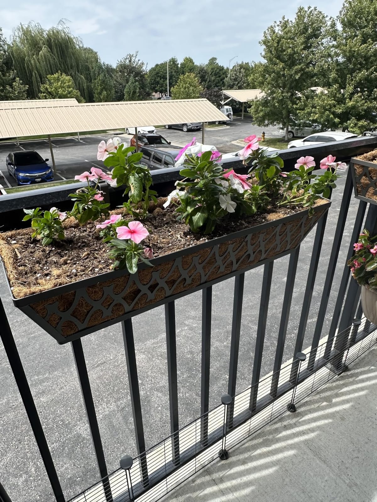 2 Pack 24 Inch Window Boxes Planters Railing Planter Box with Adjustable Brackets for Porch Fence Patio Balcony Hanging Flower Baskets with Coco Liners for Outdoor Garden Décor - Black customer photo 2