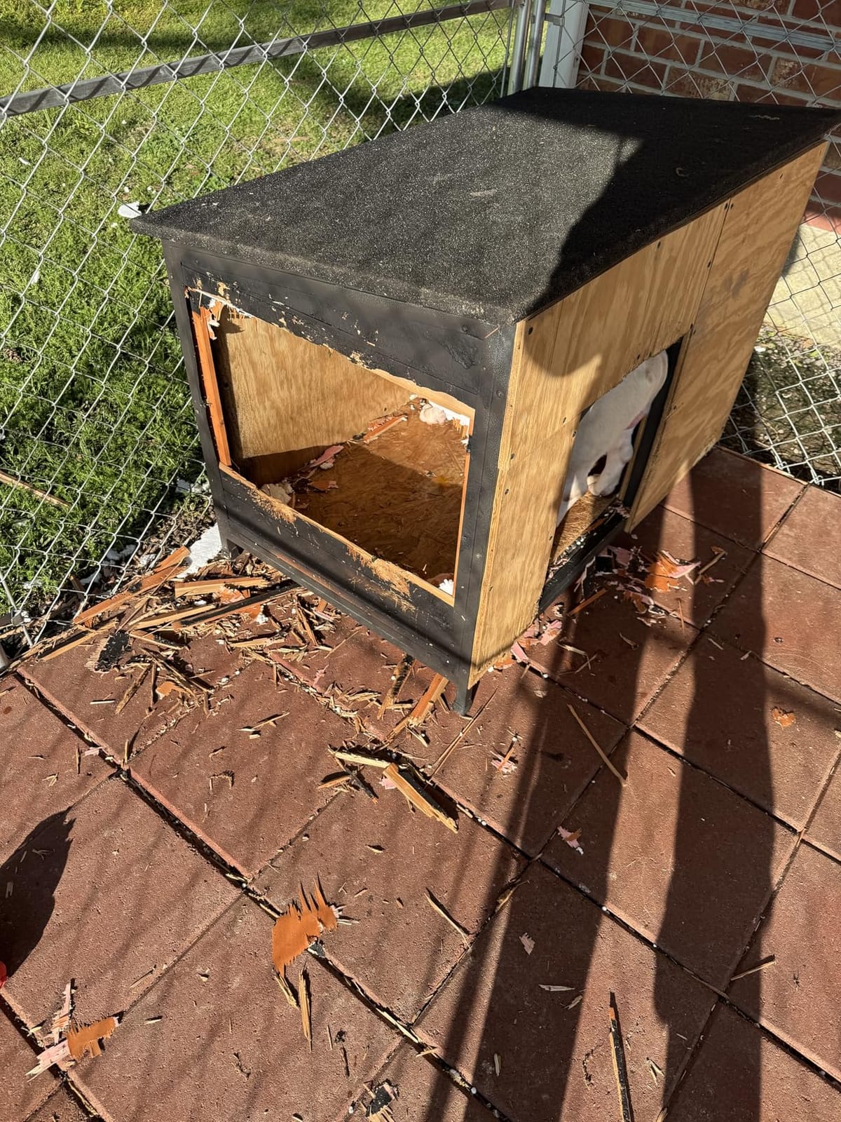 Outdoor Insulated Wooden Dog House Weatherproof Chew Resistant Metal Frame customer photo 1