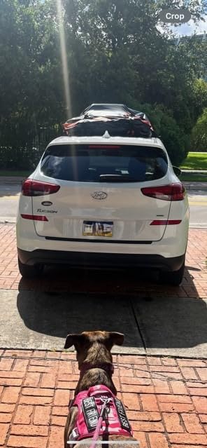 21 Cu Ft Car Rooftop Cargo Bag, Waterproof Soft Roof Top Luggage Carrier customer photo 1