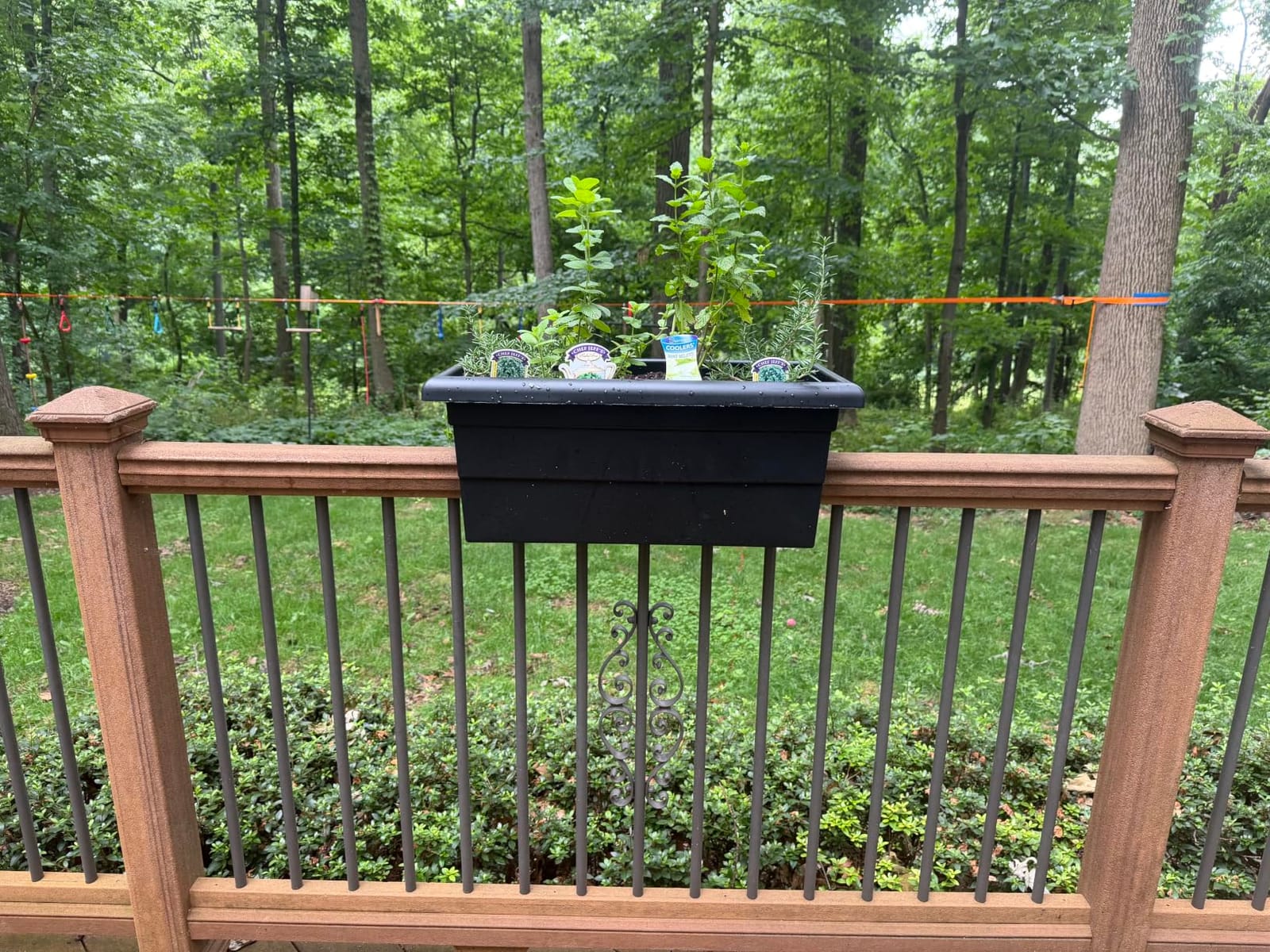Root & Vessel Countryside Railing Planter Box, 24 Inch, Black customer photo 1