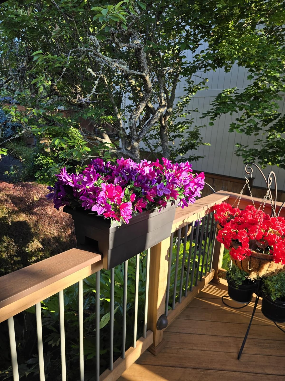 Root & Vessel Countryside Railing Planter Box, 24 Inch, Black customer photo 2