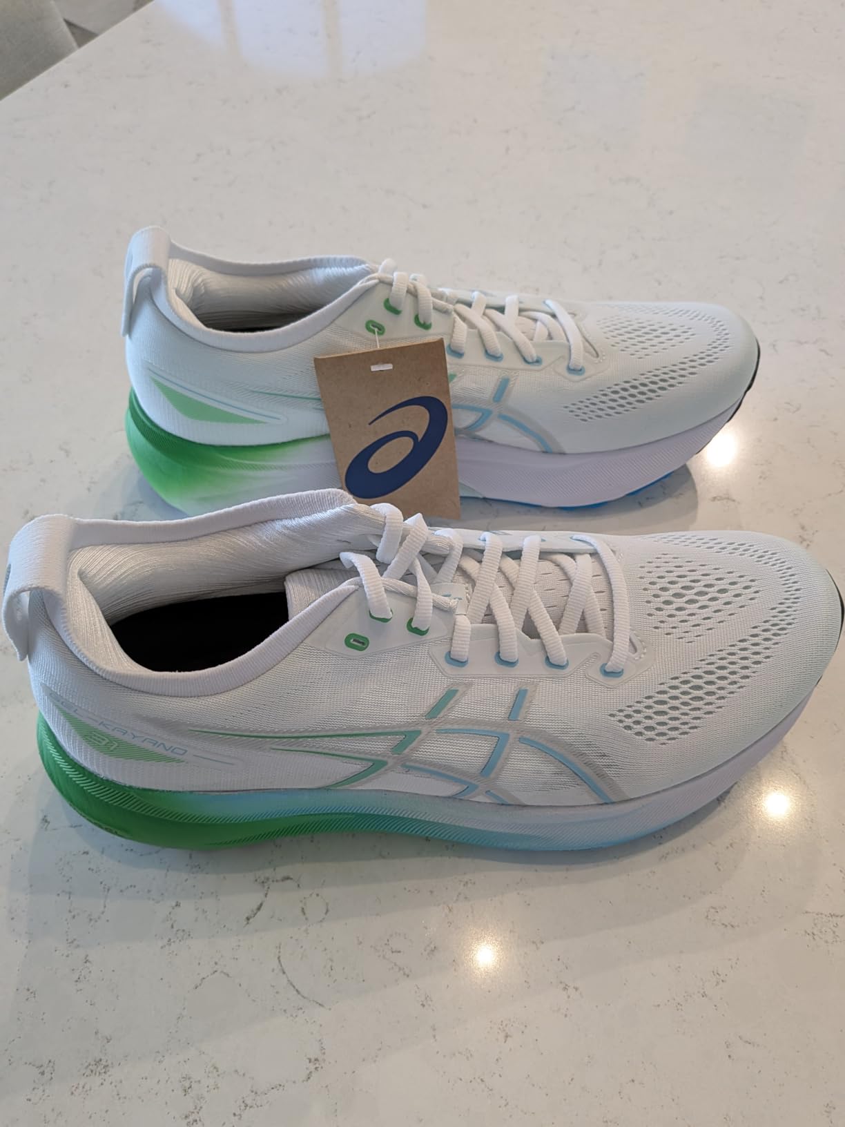 ASICS Men's Gel-Kayano 31 Running Shoes customer photo 1