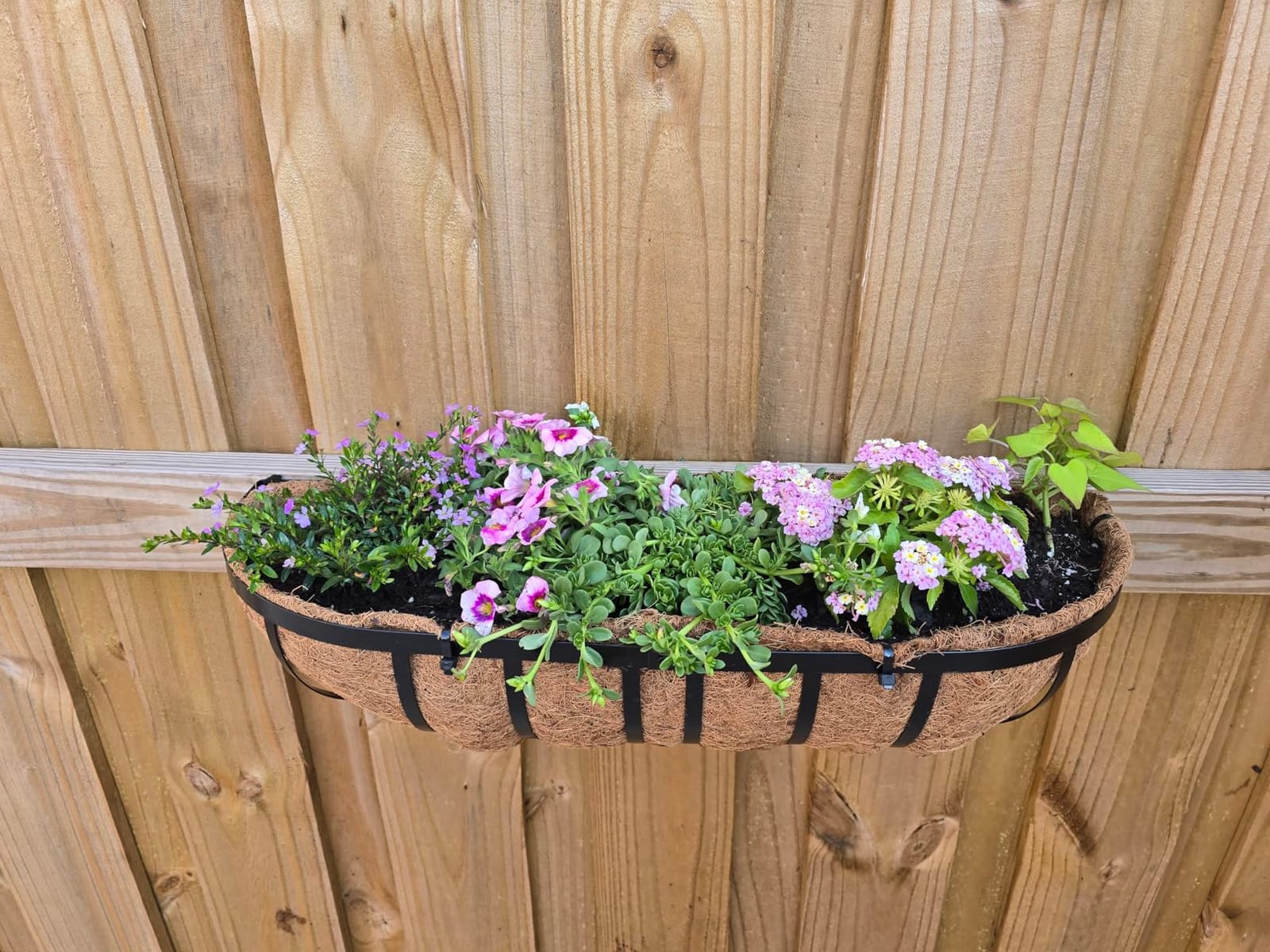 LCHUANG Railing Planter Window Box - 4 Pack 24 Inch Deck Balcony Rail Planter with Coconut Coir Liner, Fence Metal Hanging Flower Basket Deck Railing Planter Boxes for Outdoor Garden customer photo 2
