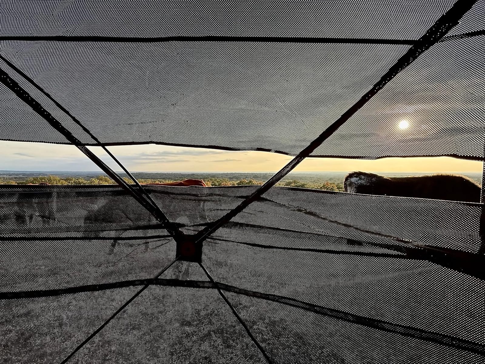 FUNHORUN Hunting Blind with Floor Mat, 360 See Through Ground Blind, Pop Up customer photo 2