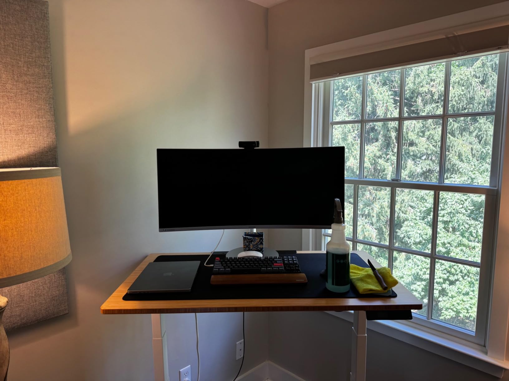 Samsung 49” Business Curved Ultrawide Dual QHD Computer Monitor, USB-C, DisplayPort, HDMI, 120Hz, VESA DisplayHDR 400, Built-in Speakers, Height Adjustable Stand, Eye Care, LS49C954UANXZA, 2024 customer photo 1