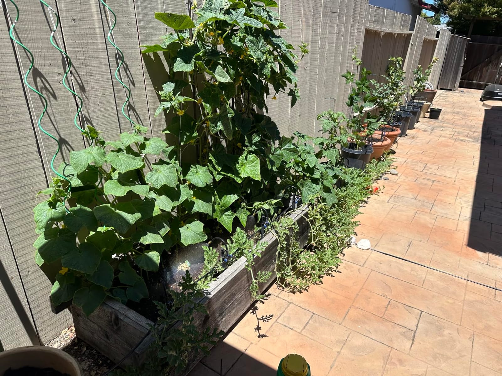 49.21Ft Drip Irrigation Kit System, 360° Bendable Garden Irrigation System customer photo 1