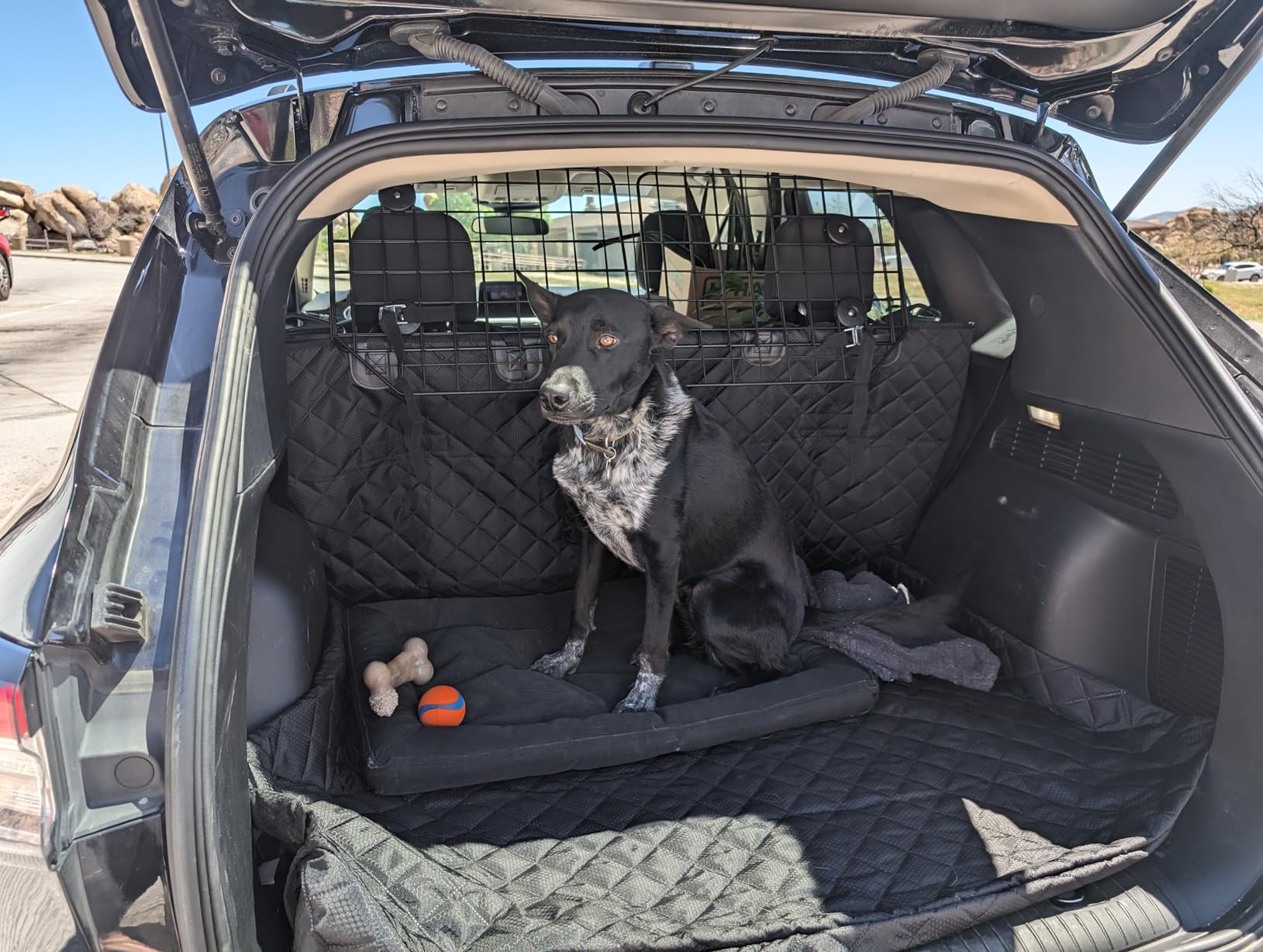 Dog Car Barrier for SUVs, Van, Vehicles, Adjustable Large Pet Barriers, Universal Fit Heavy-Duty Wire Mesh Dog Guard, Pet Divider Gate for Truck Cargo Area, Safety Car Divider, 61.9 Inches customer photo 1