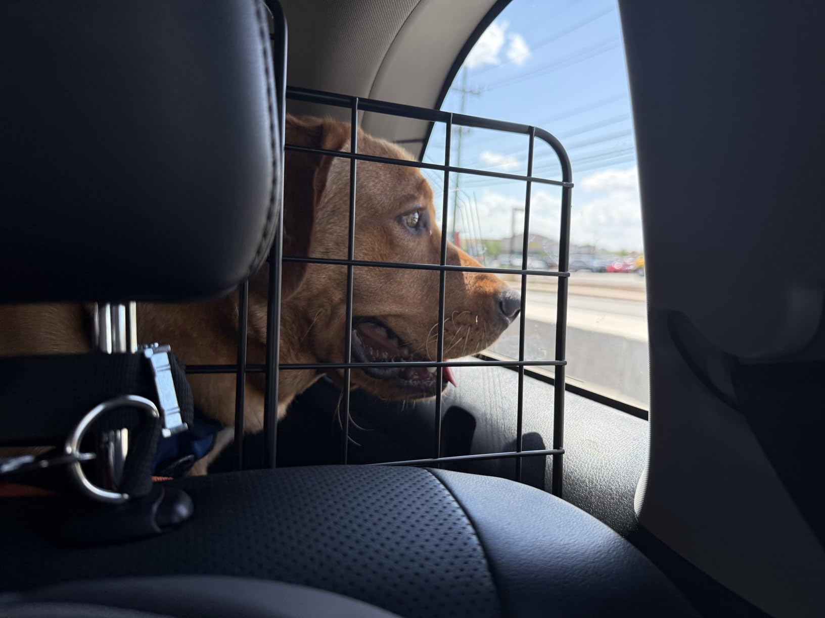 Dog Car Barrier for SUVs, Van, Vehicles, Adjustable Large Pet Barriers, Universal Fit Heavy-Duty Wire Mesh Dog Guard, Pet Divider Gate for Truck Cargo Area, Safety Car Divider, 61.9 Inches customer photo 2