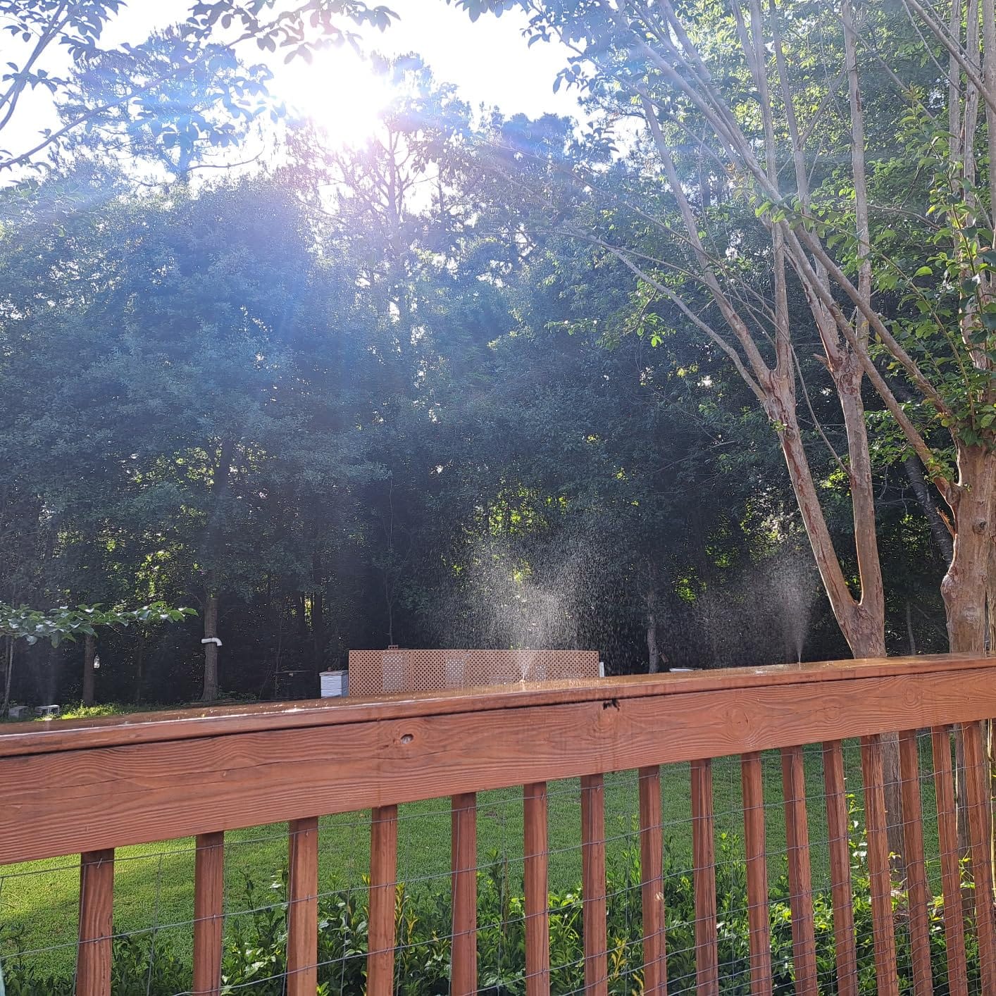 GOXAWEE Misting Cooling System, 26FT (8M) Mist Line, 7 Brass Mister Nozzles customer photo 2