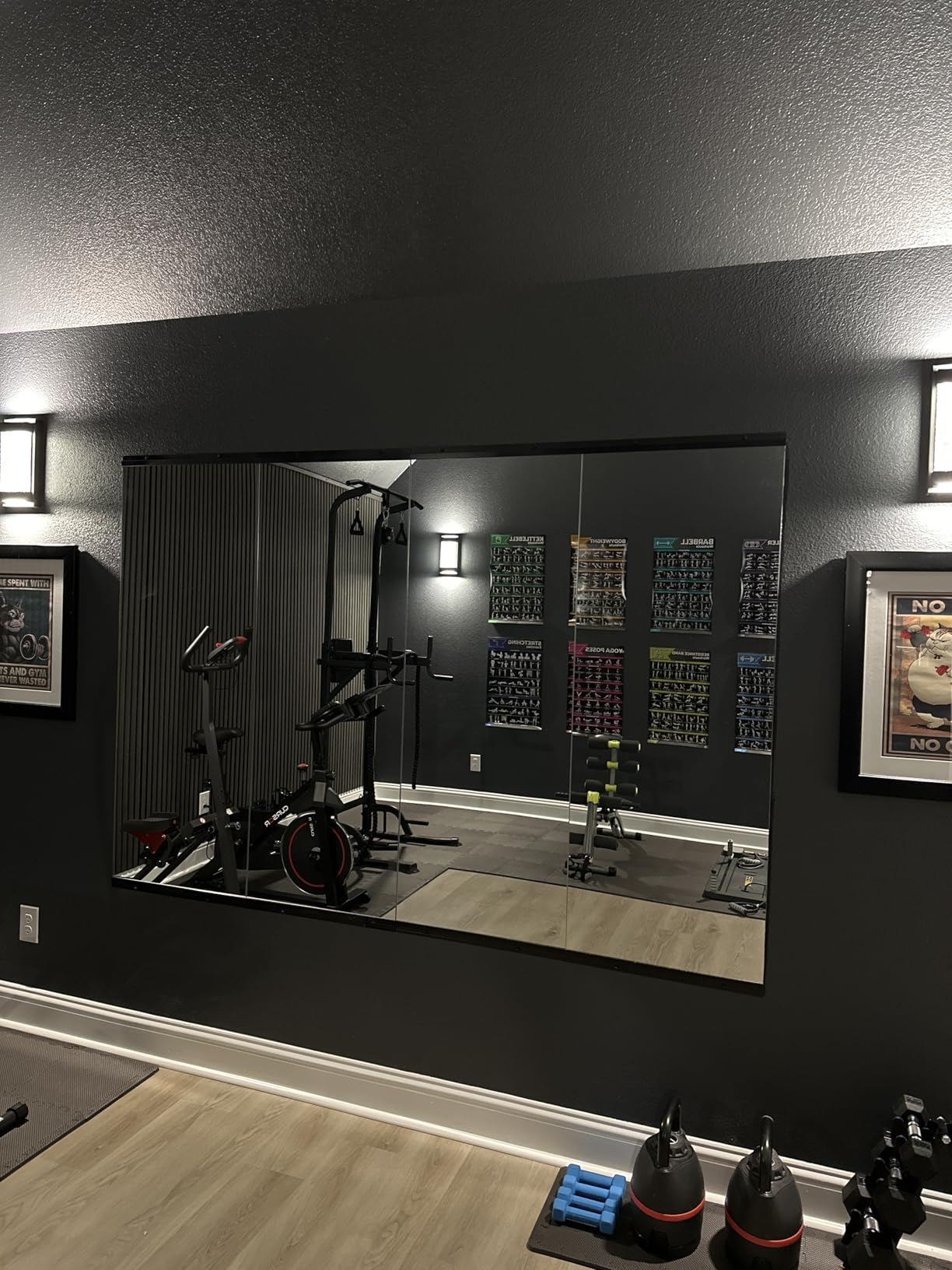 Hasipu Home Gym Mirror 55