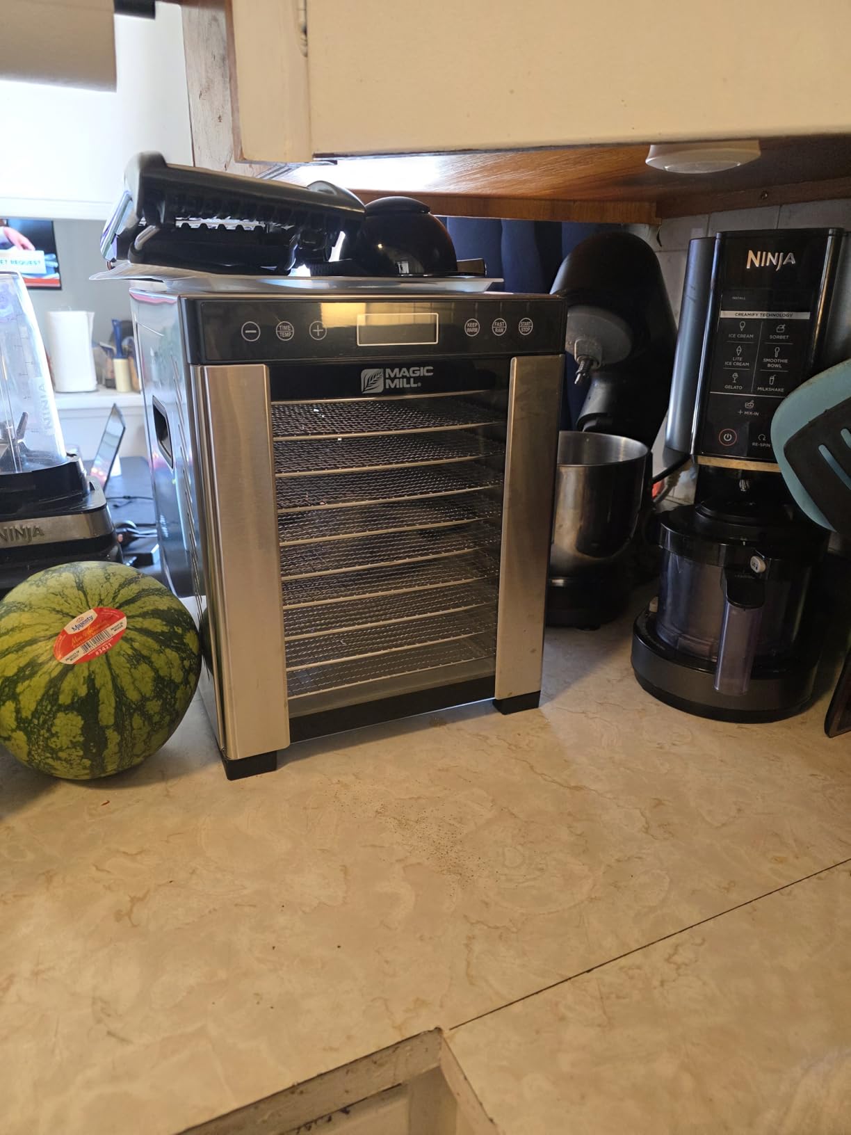 Magic Mill Pro Food Dehydrator Machine | 10 Stainless Steel Trays | Dryer for Jerky, Dog Treats, Herb, Meat, Beef, Fruit | Keep Warm Function, Digital Timer and Temperature Control, ETL Approved customer photo 2