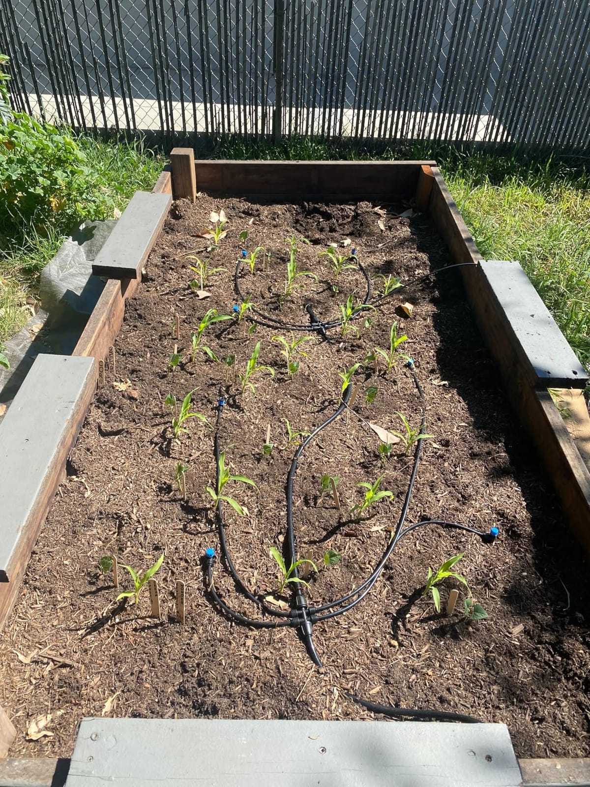 Bonviee Drip Irrigation System Kit for Garden Watering, 230FT Quick Connect customer photo 1