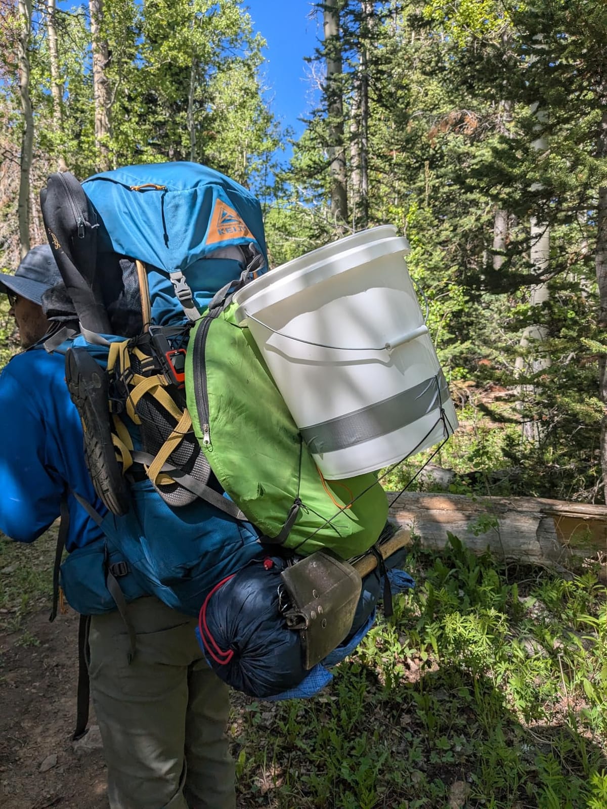 Kelty Coyote 60-105 Liter Internal Frame Backpack - Hiking, Backpacking, Travel, Adjustable Torso (65L / Black) customer photo 2