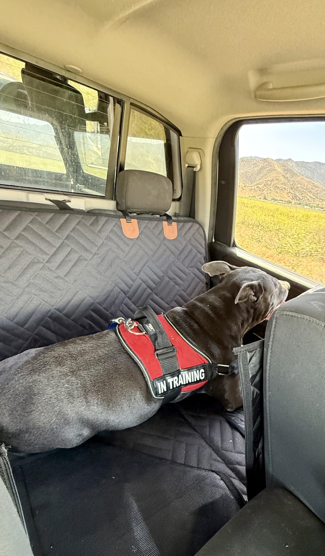 YJGF Hard Bottom Dog Car Seat Cover for Full-Size Trucks,Back Seat Extender customer photo 2