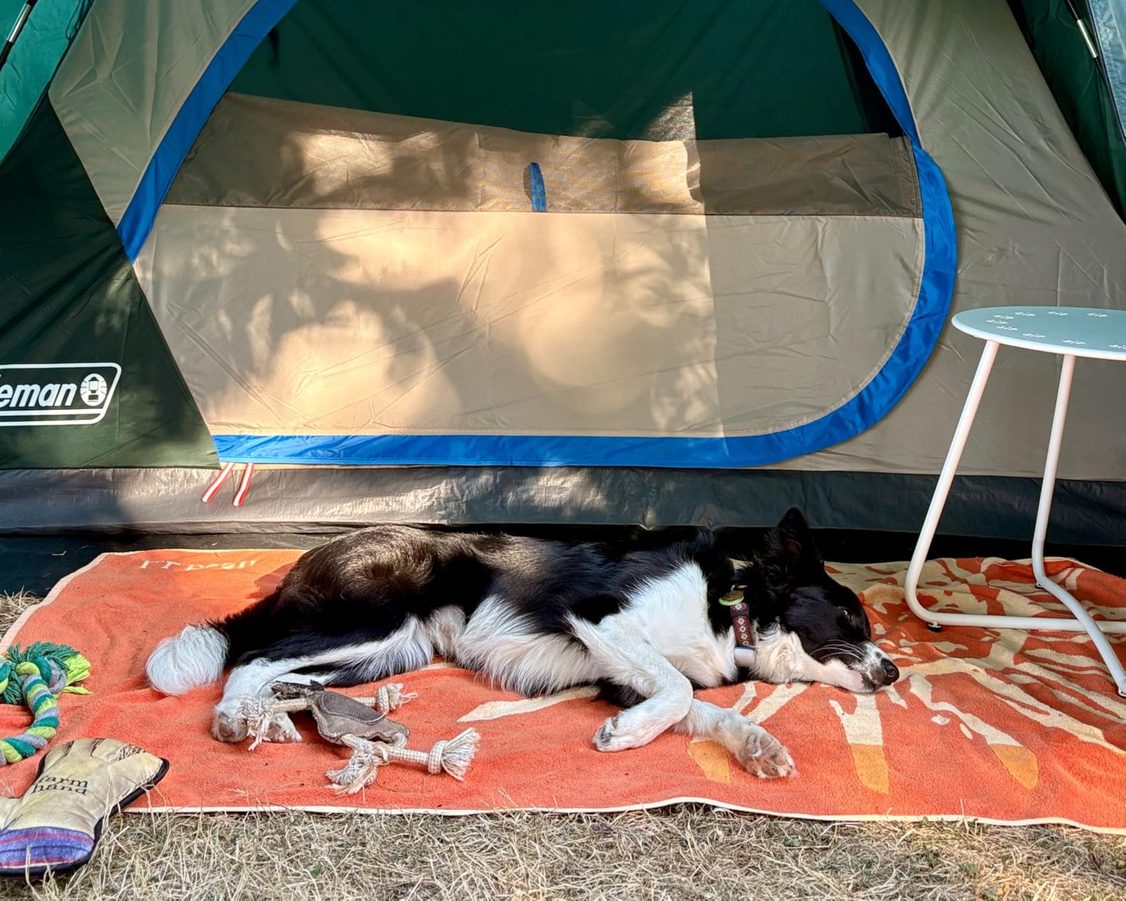 Coleman Skydome Tent with Full-Fly Weather Vestibule, Weatherproof 4/6 Person Tent Sets Up in 5 Minutes & Protects from Water, 20% More Headroom Than Traditional Shelters customer photo 1