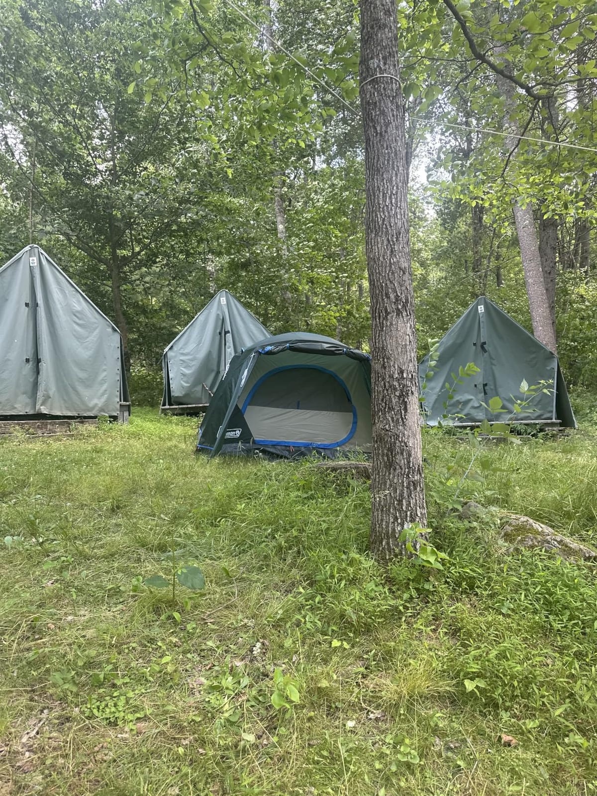 Coleman Skydome Tent with Full-Fly Weather Vestibule, Weatherproof 4/6 Person Tent Sets Up in 5 Minutes & Protects from Water, 20% More Headroom Than Traditional Shelters customer photo 2