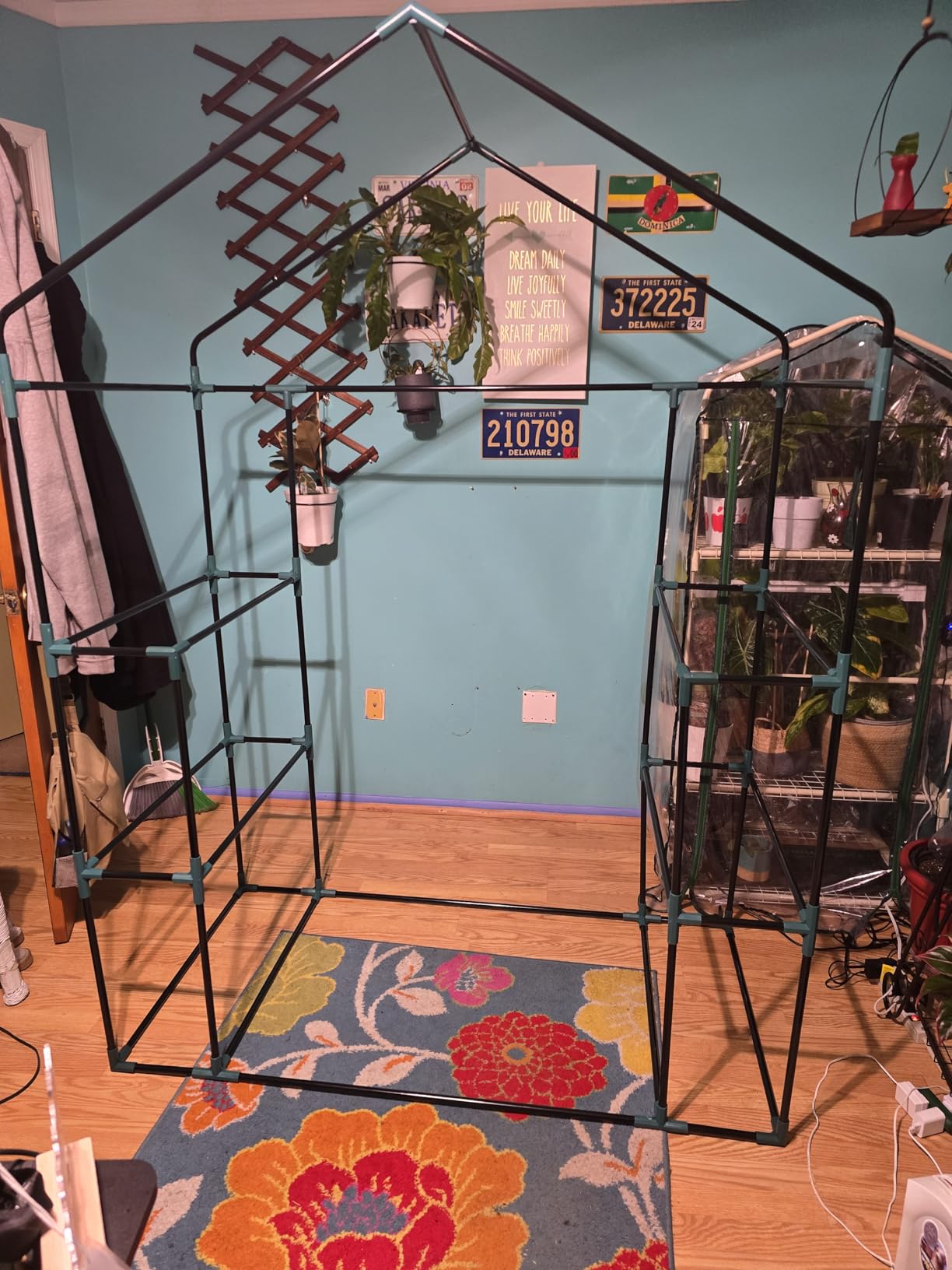 Greengro Greenhouse, 28 x 57 x 76'' Walk in Greenhouses for Outdoors Indoor customer photo 1