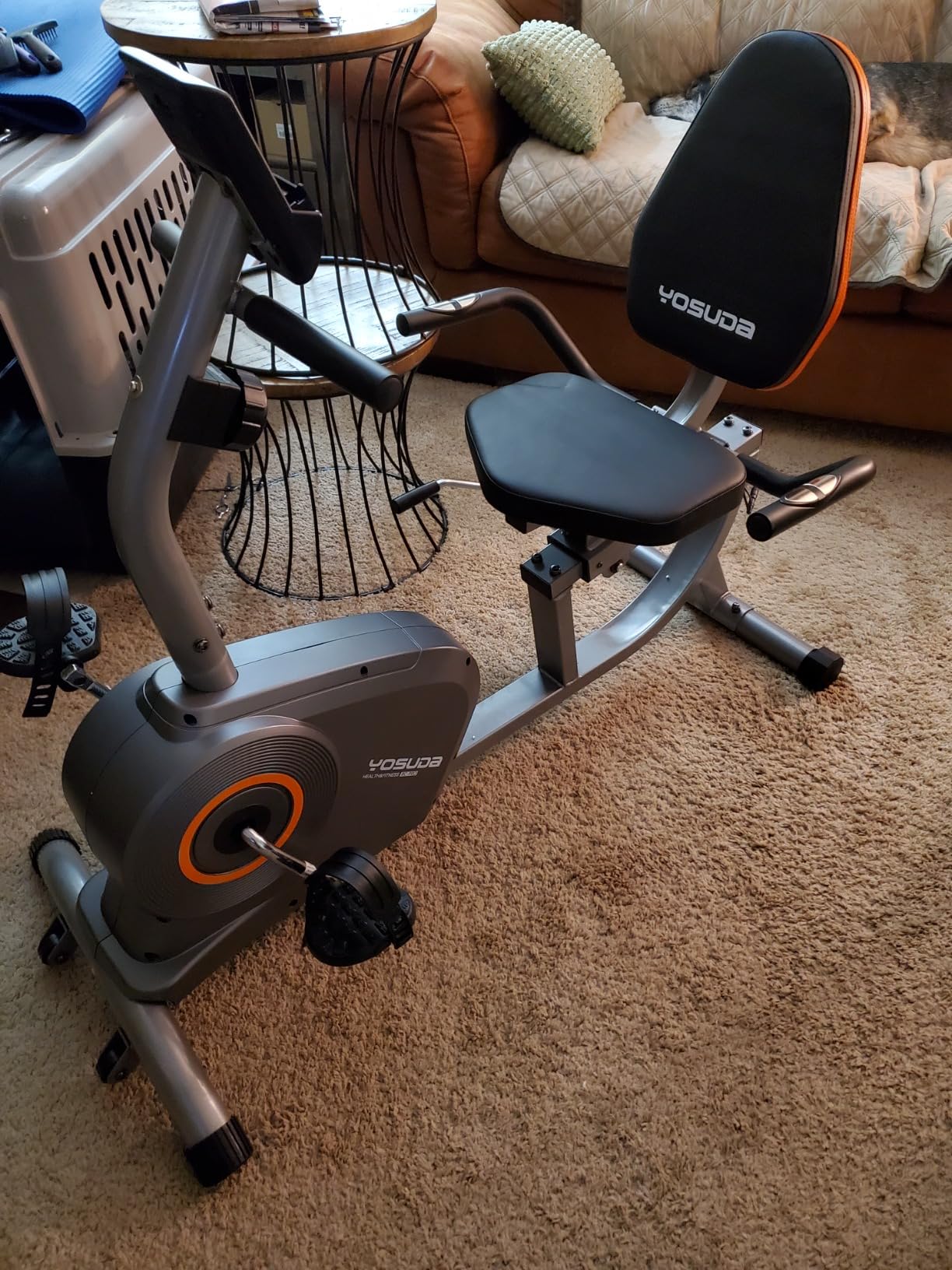YOSUDA Recumbent Exercise Bike for Home，Magnetic Staionary Bike for Seniors customer photo 1