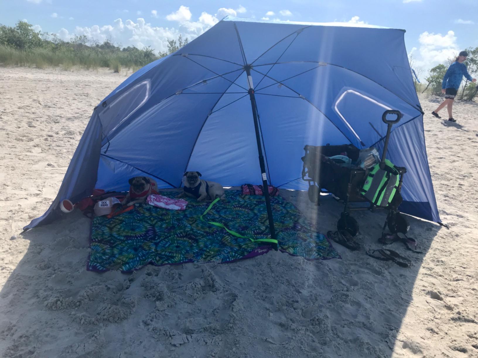Sport-Brella Premiere UPF 50+ Umbrella Shelter with Patented Side Panels and Tilt Mechanism, Heavy-Duty 1.25 Inch Center Pole, Auger Anchor for Sand and Grass customer photo 2