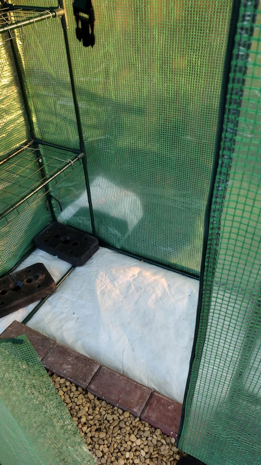 VEVOR Walk-in Tunnel Greenhouse, 9.6x6.4x6.2 ft Hoop House Greenhouse Tunnel, Plant Hot House with Galvanized Steel Frame, Green PE Cover, Roll-up Zipper Door and 6 Windows for Outdoor customer photo 2