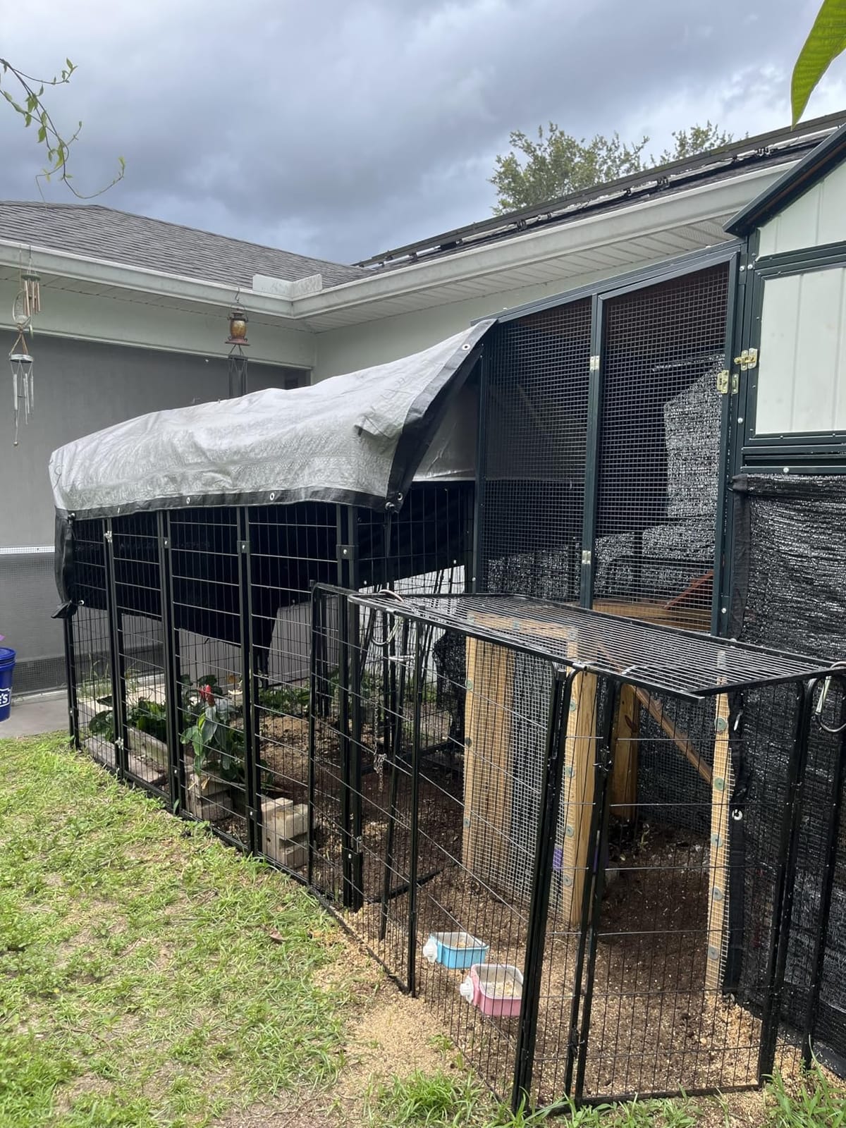 Dog Kennel Outdoor, Large Outside Dog Kennel with Roof & Swivel Feeders/Removable Doggy Door Allow Connecting Your Dog House, Heavy Duty Dog Run Pen for Medium/Large Dogs (8'L x 4'W x 6'H) customer photo 1